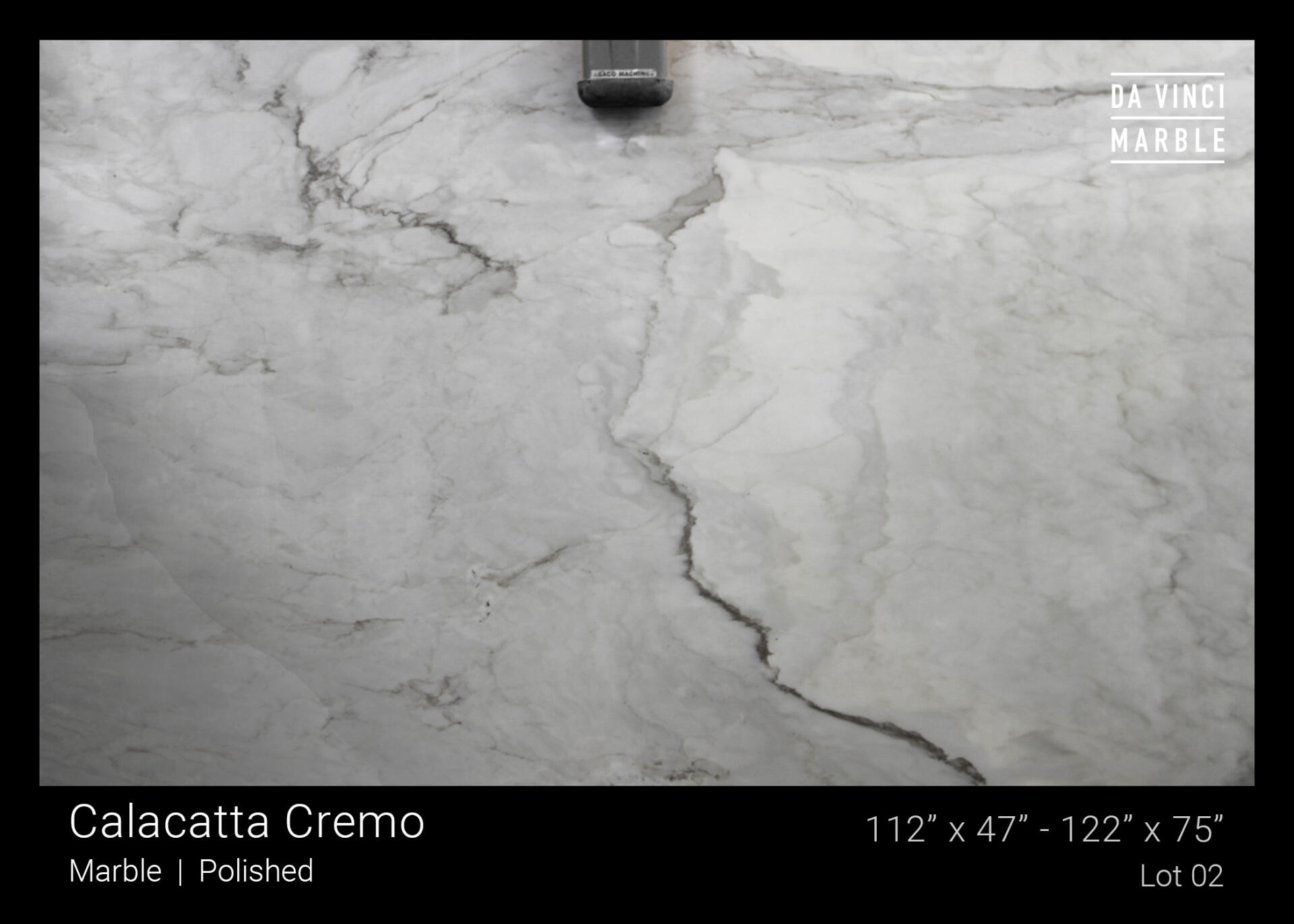 Calacatta Cremo
