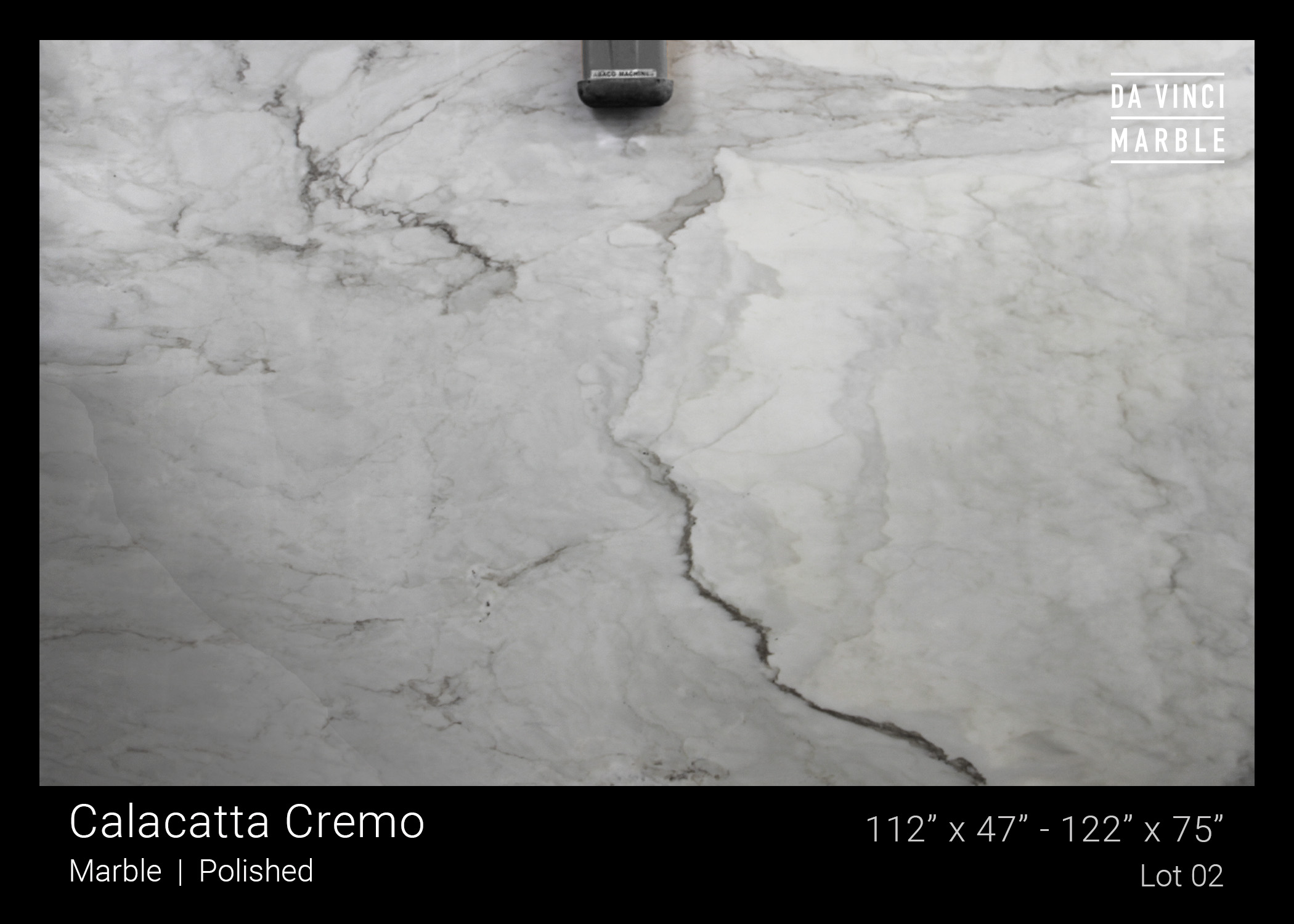 Calacatta Cremo