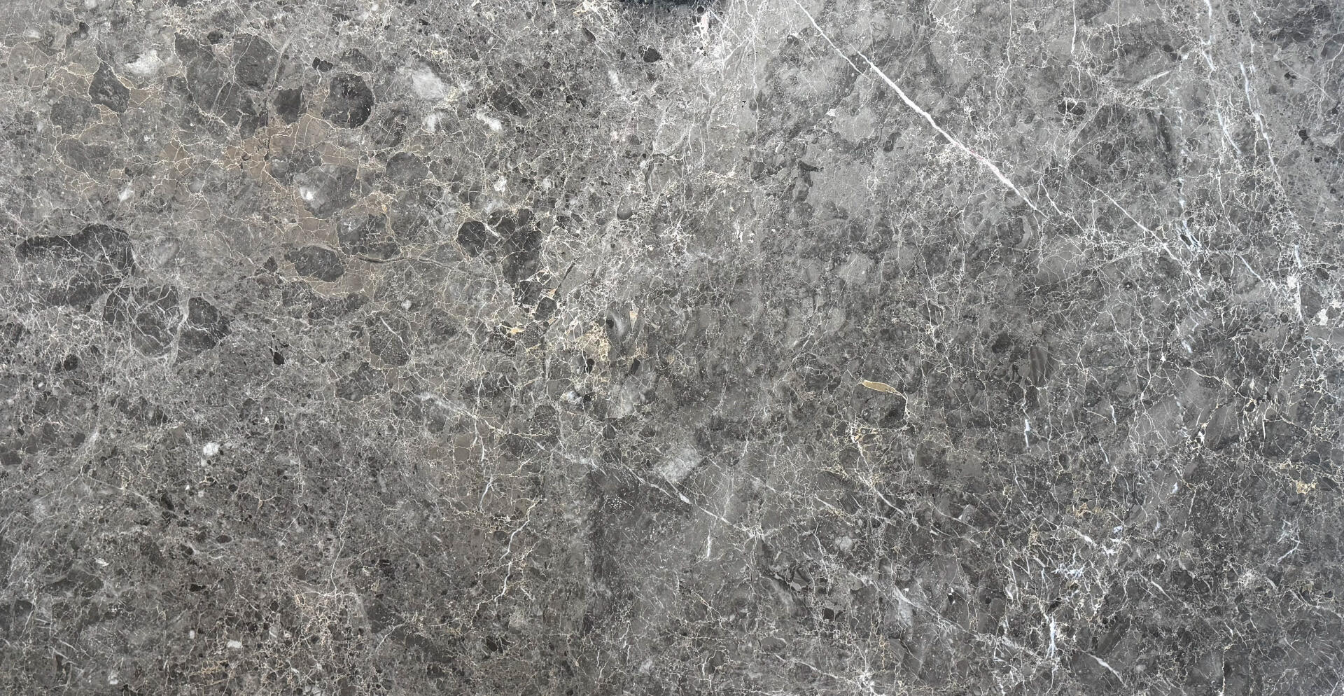 Gris Du Marais