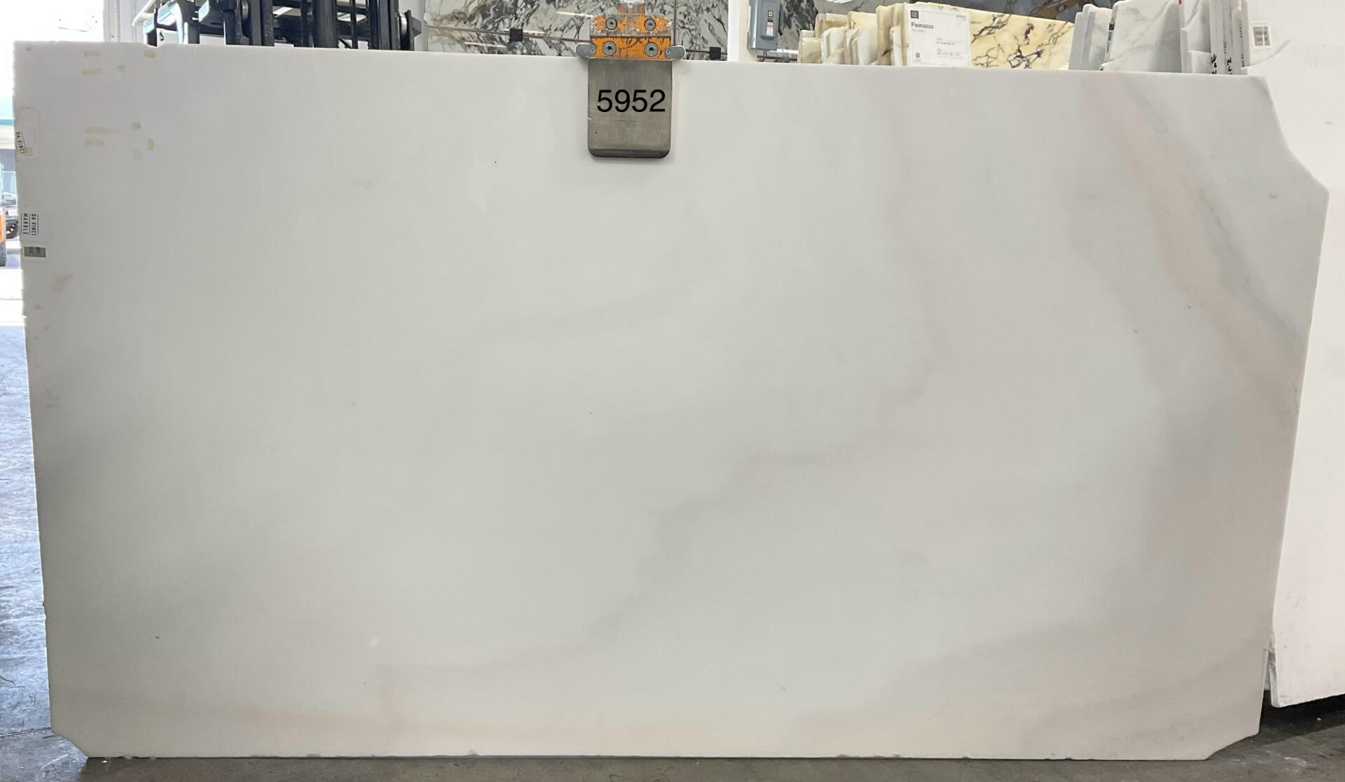 Invisible White