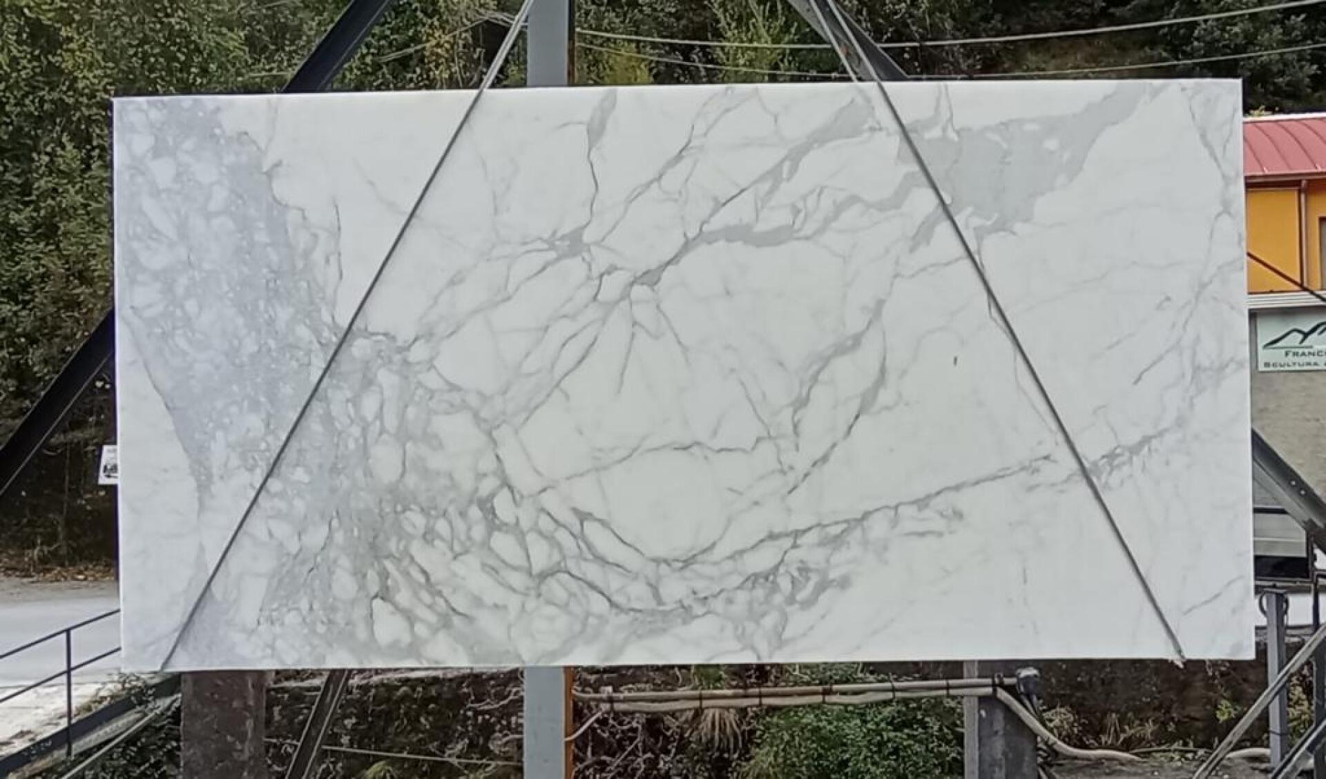 Calacatta Oro