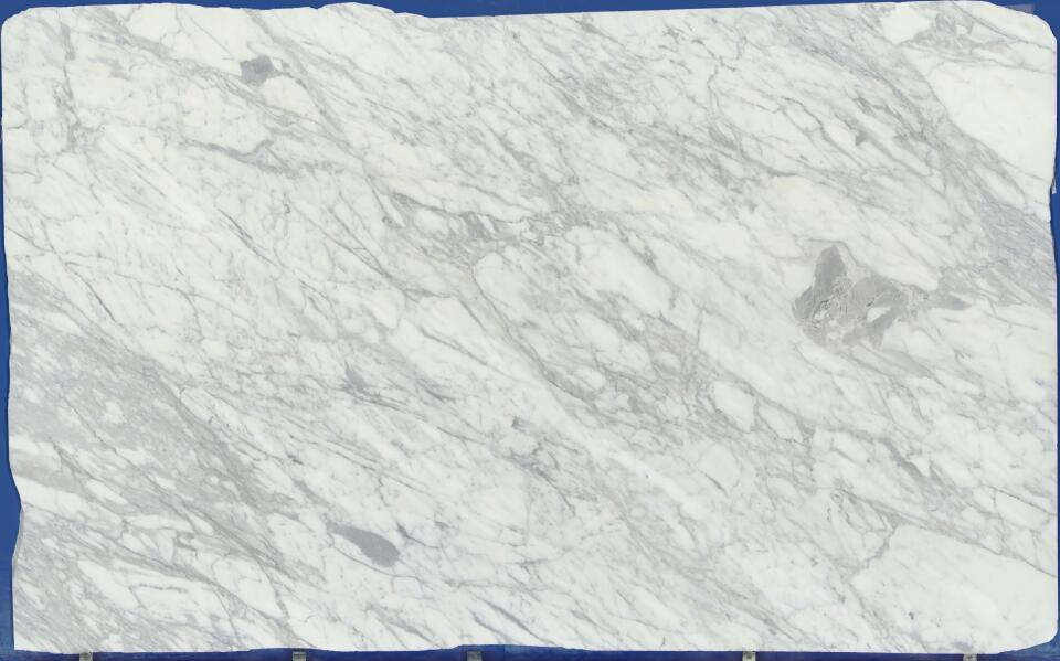 Calacatta Classico