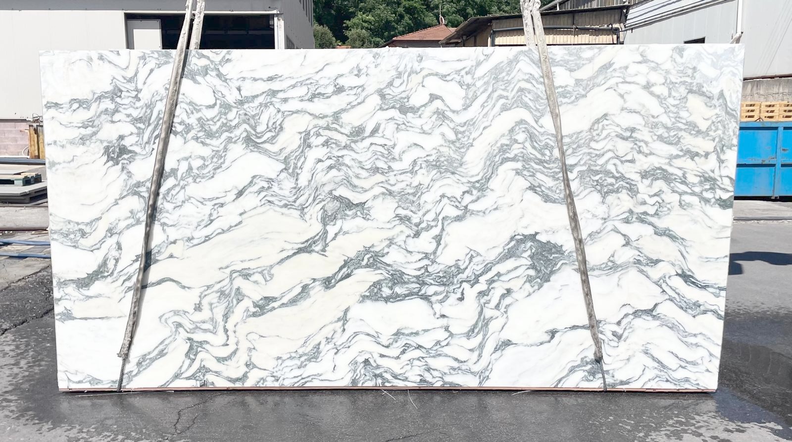 Arabescato Marble slab at Modul Marble