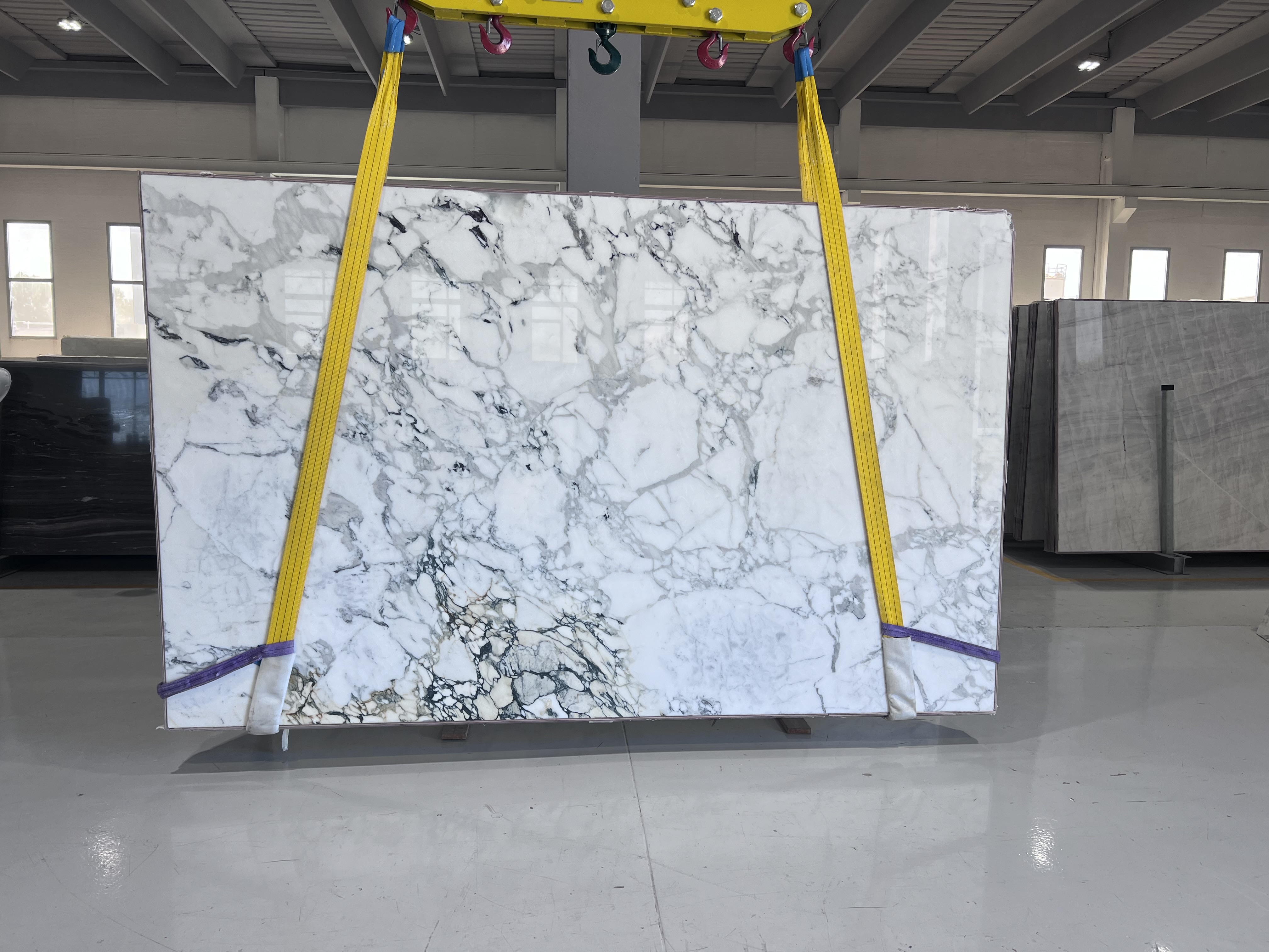 Breccia Capraia
