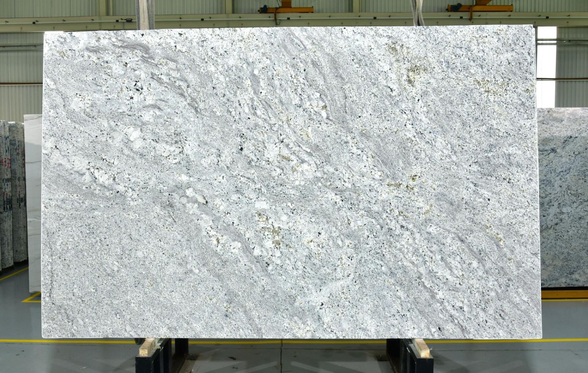 Andino White