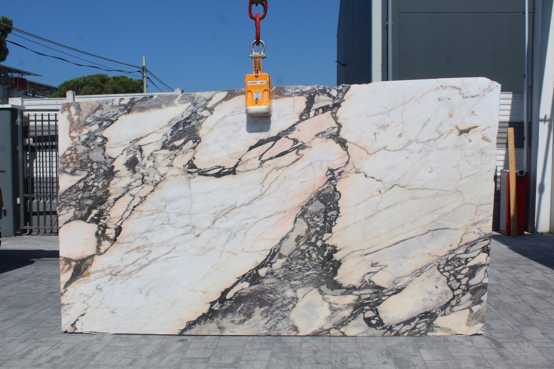 Calacatta Viola Marble slab at Modul Marble