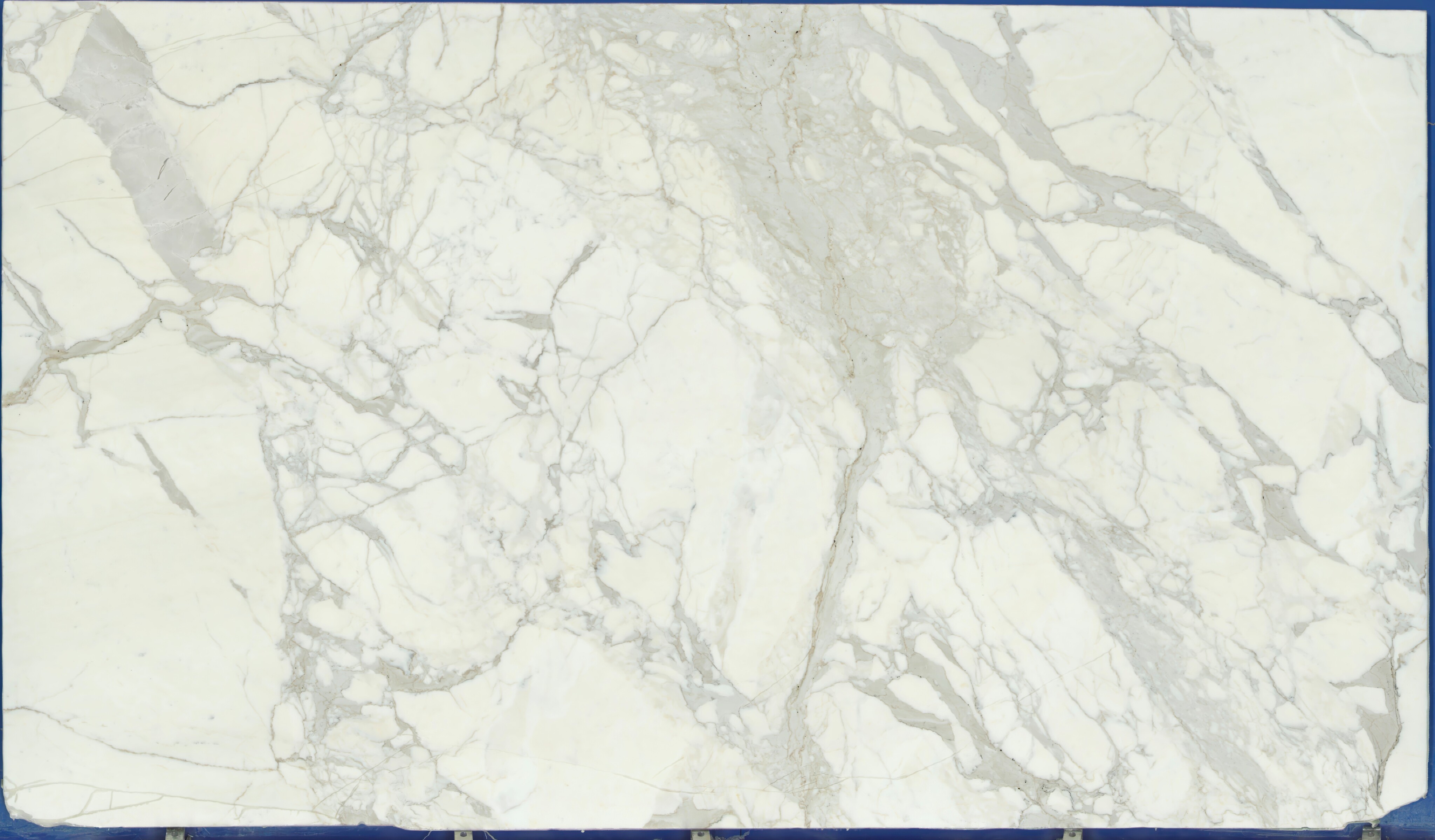 Calacatta Classico