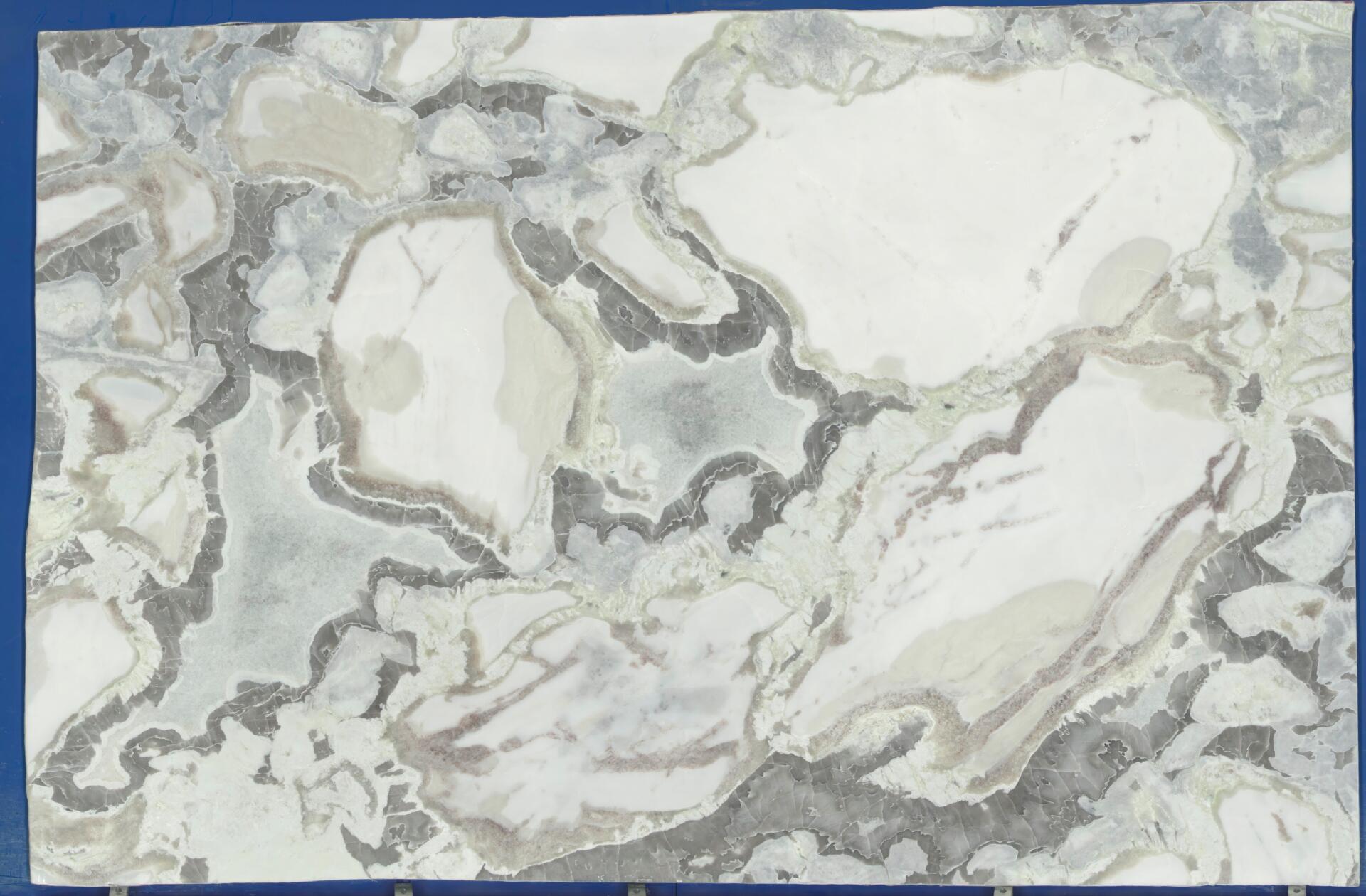 Oyster White