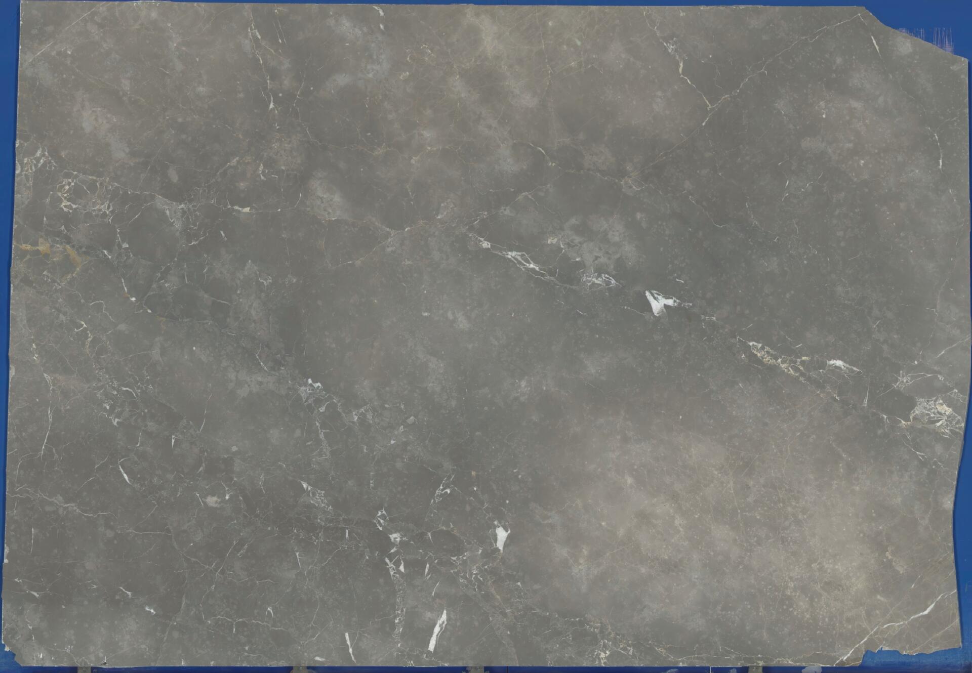 Grigio Collemandina