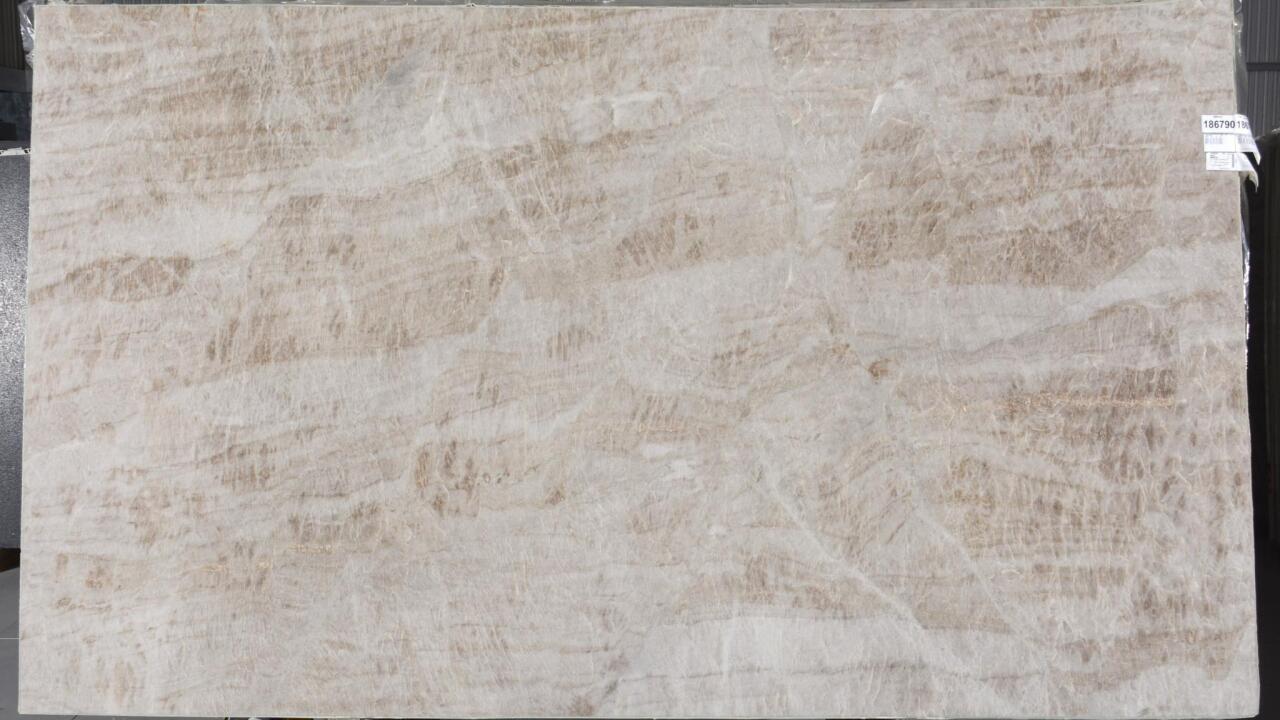 Venus/Taj Mahal 1st Choice 3cm