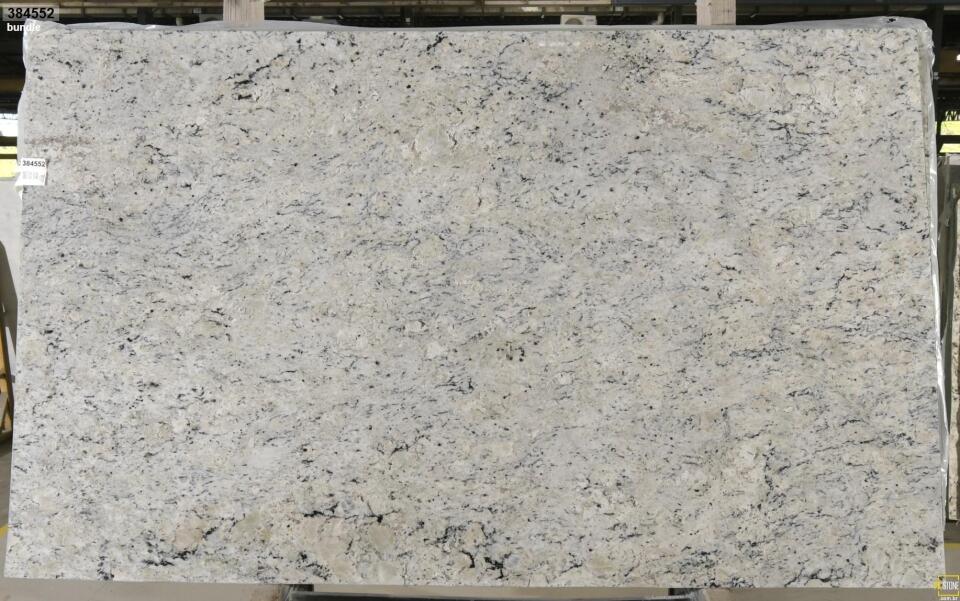Delicatus White