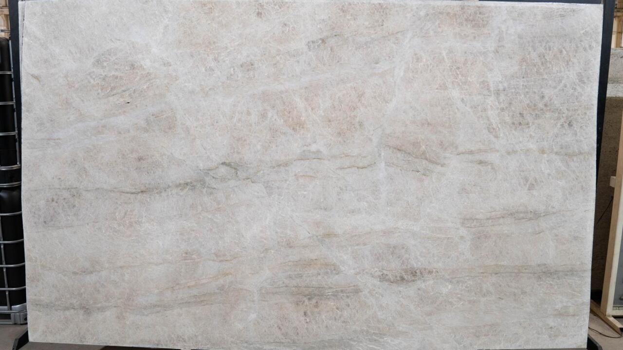 Venus/Taj Mahal 1st Choice 3cm
