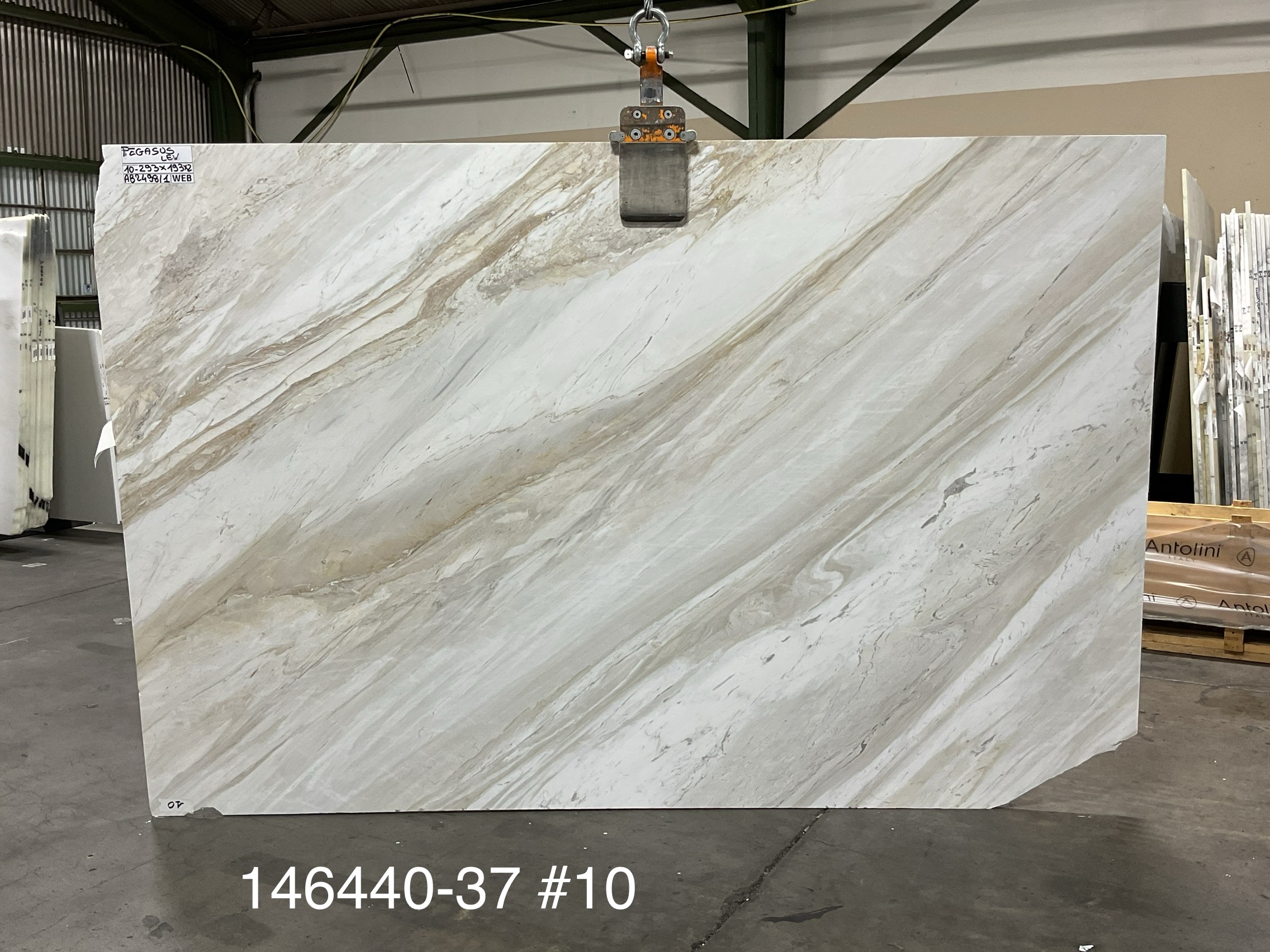 Pegasus White Slab