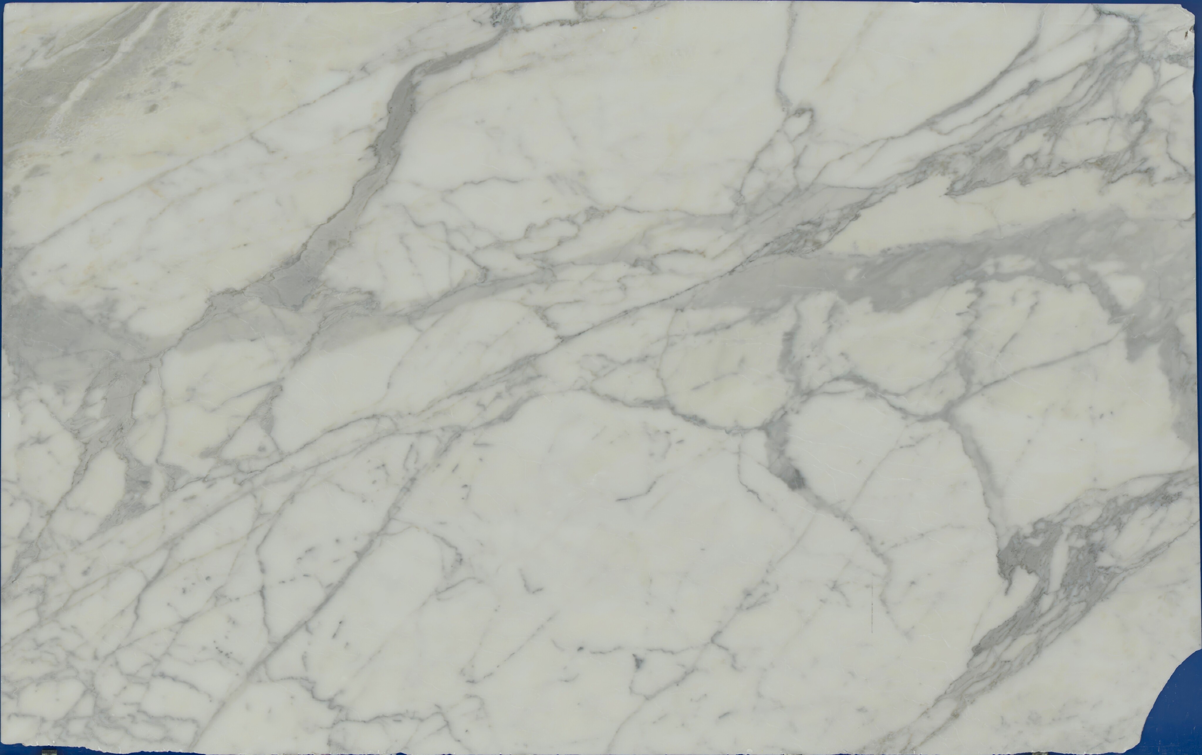 Calacatta Gold 