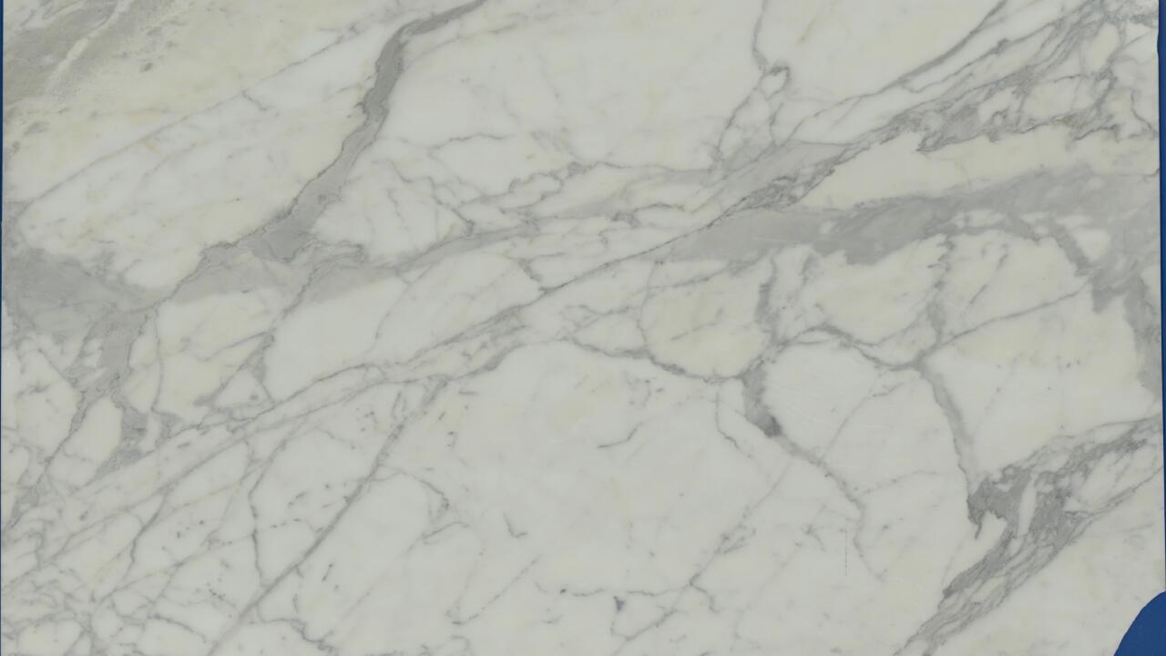 Calacatta Gold 