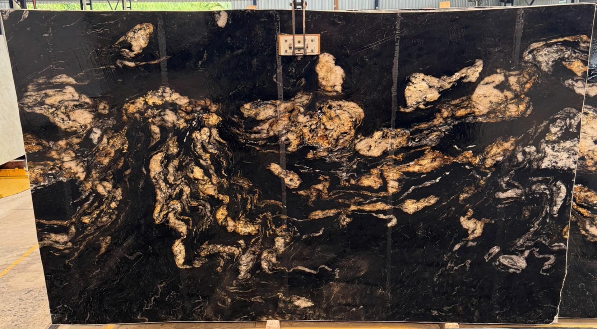 Titanium Gold