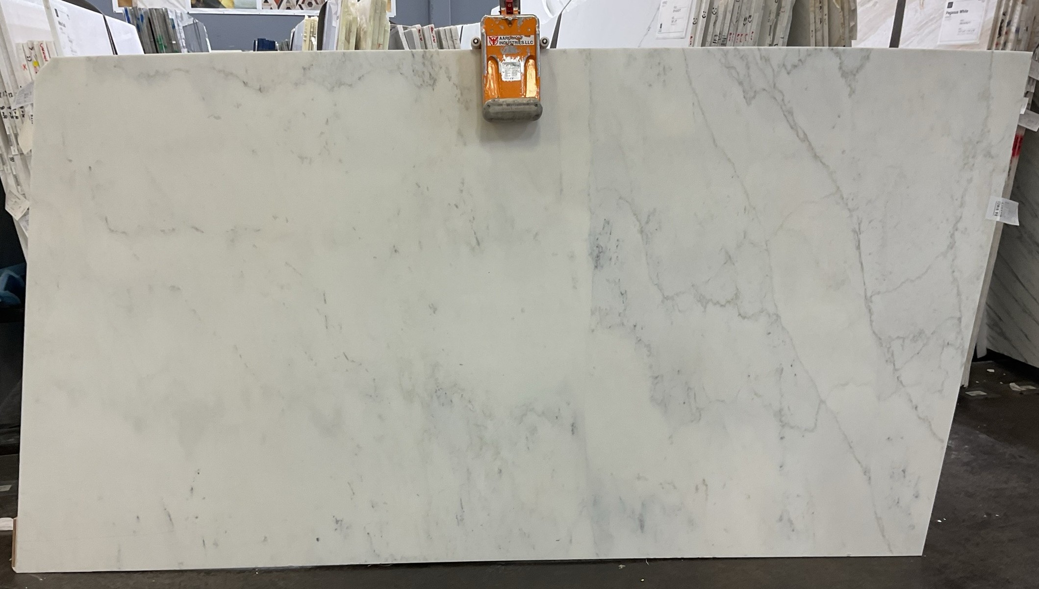 Calacatta Michelangelo