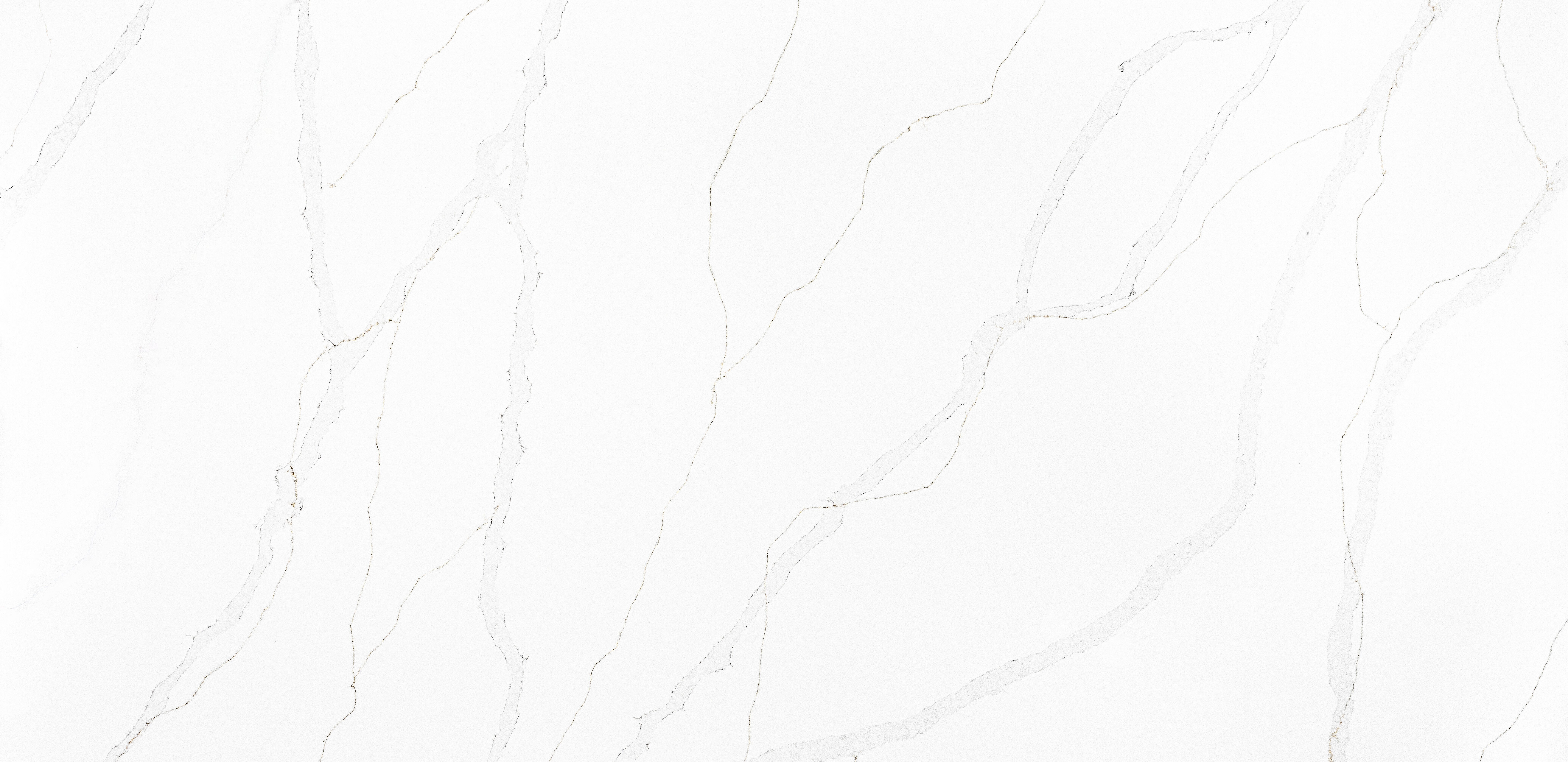 Salora Gray