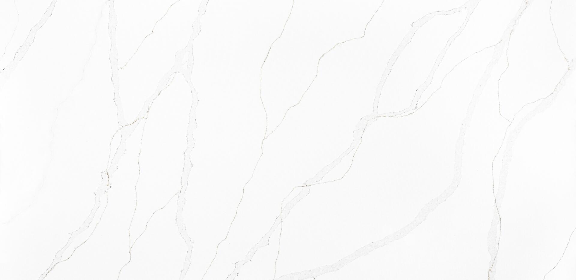 Salora Gray