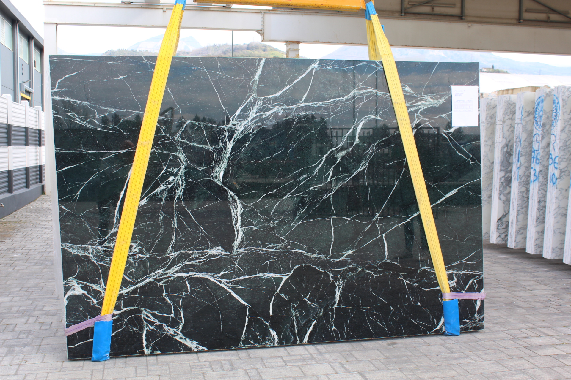 Verde Alpi Polished 2cm Marble by PACIFICA