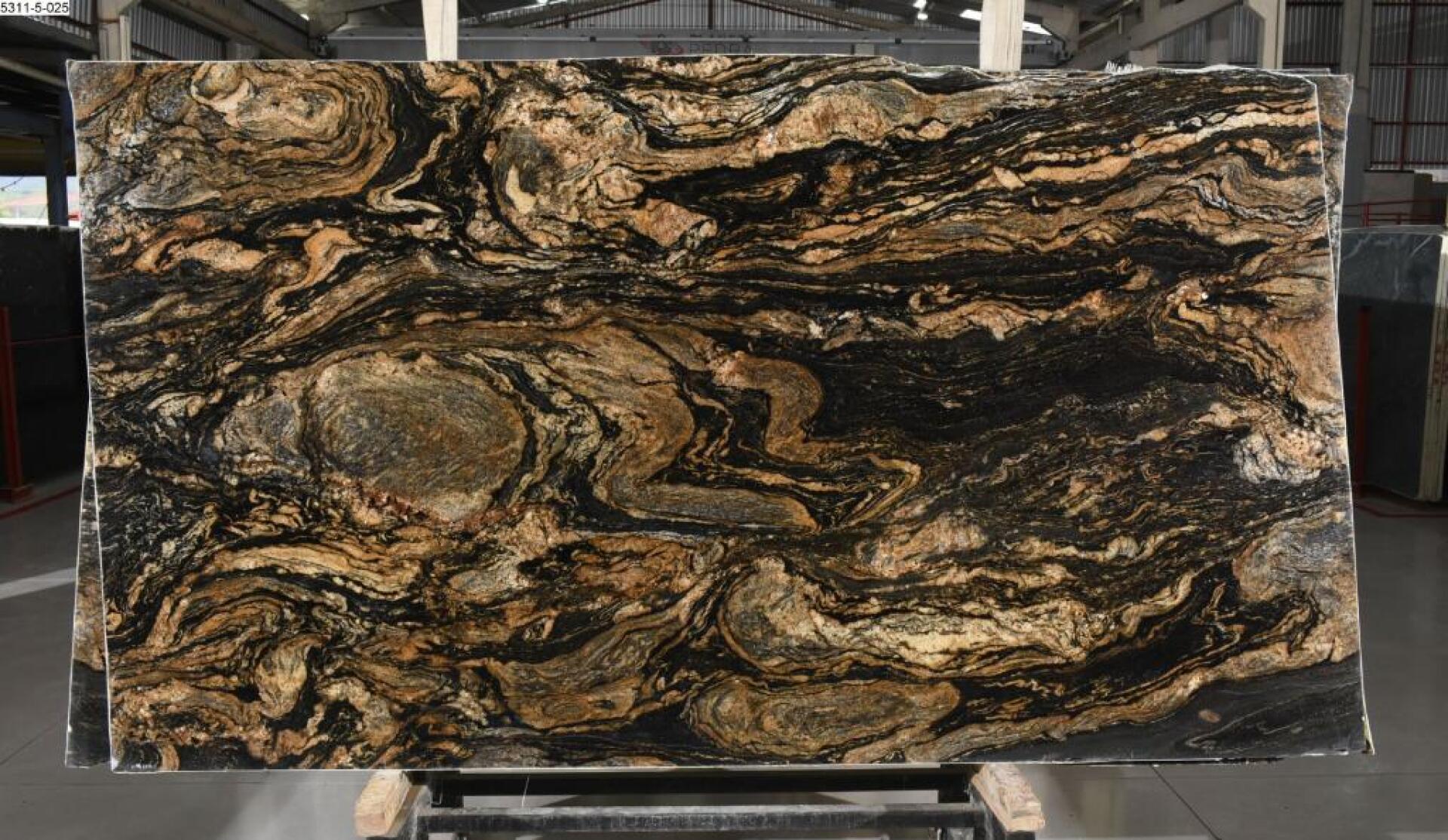 Black Taurus