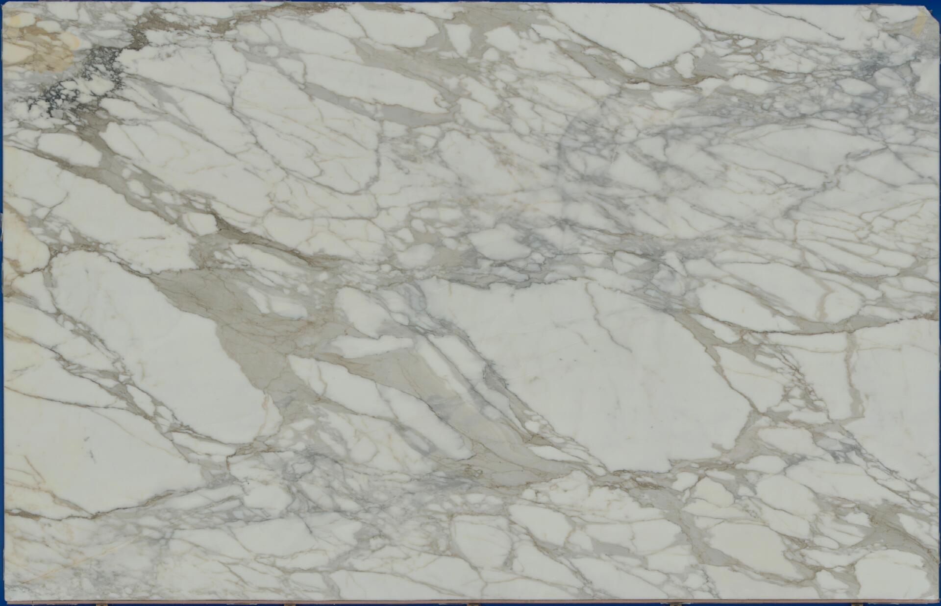 Calacatta Borghini