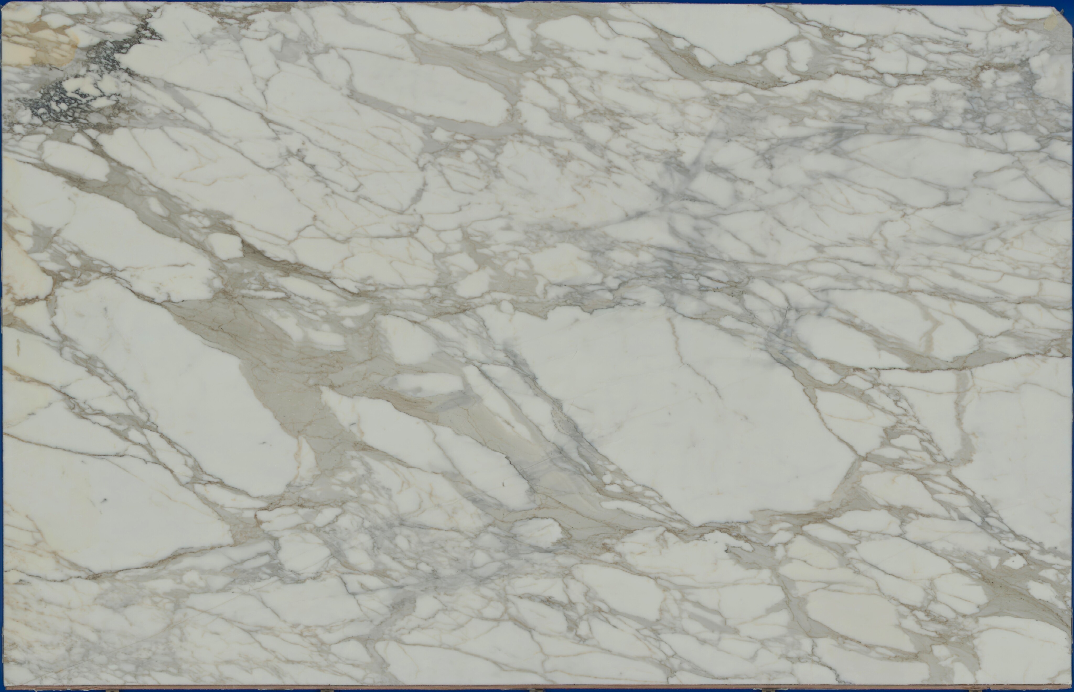 Calacatta Borghini