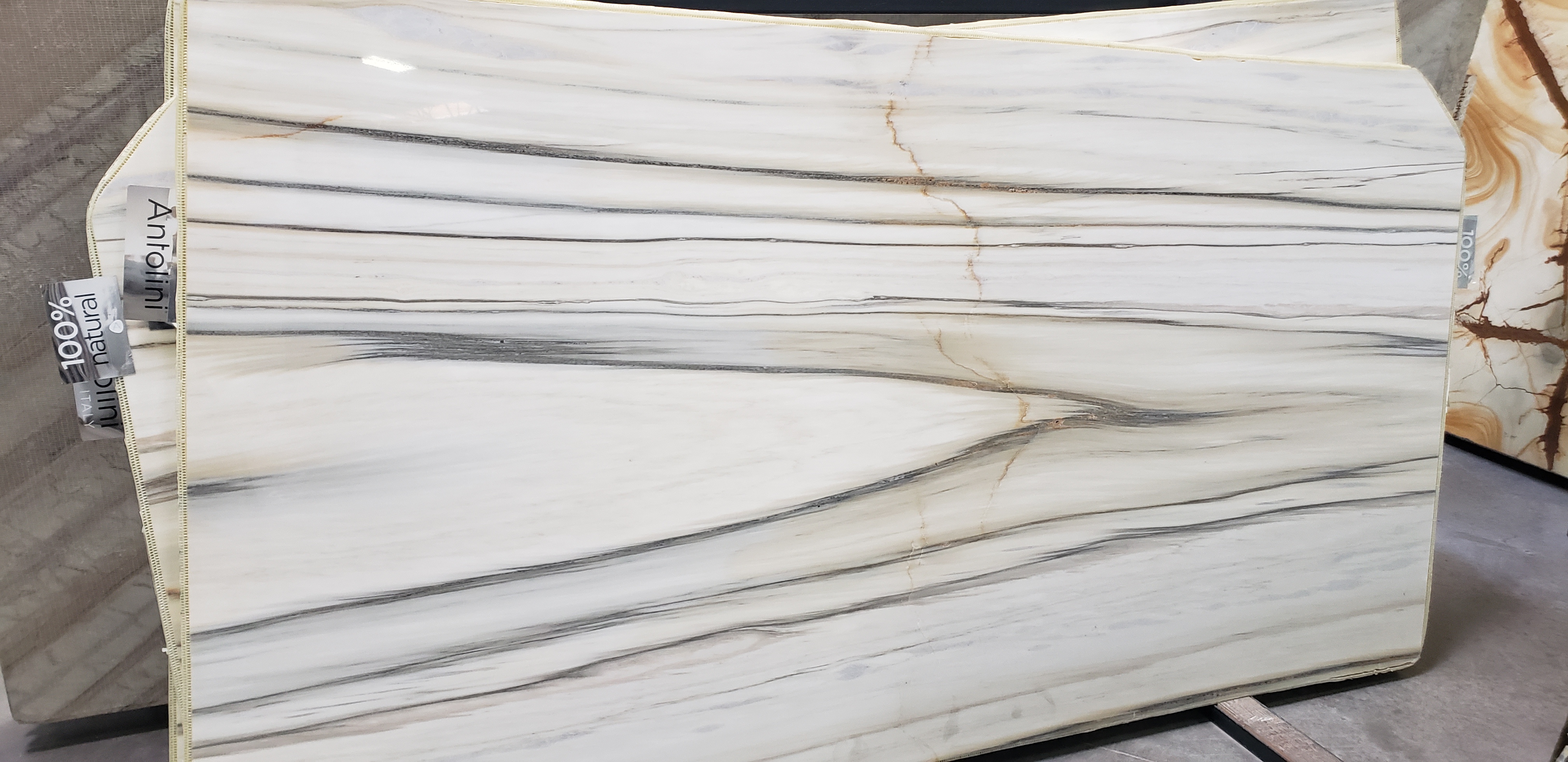 Zebrino Bianco Extra 2cm Marble by PACIFICA