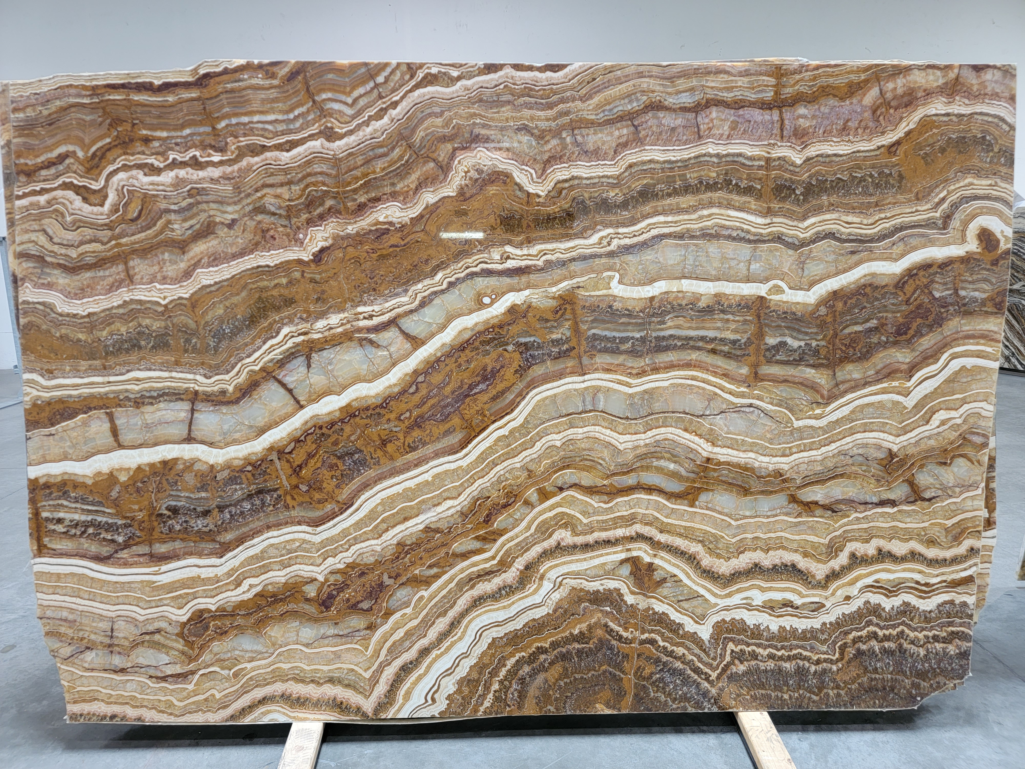 Tiger 2cm Onyx by PACIFICA