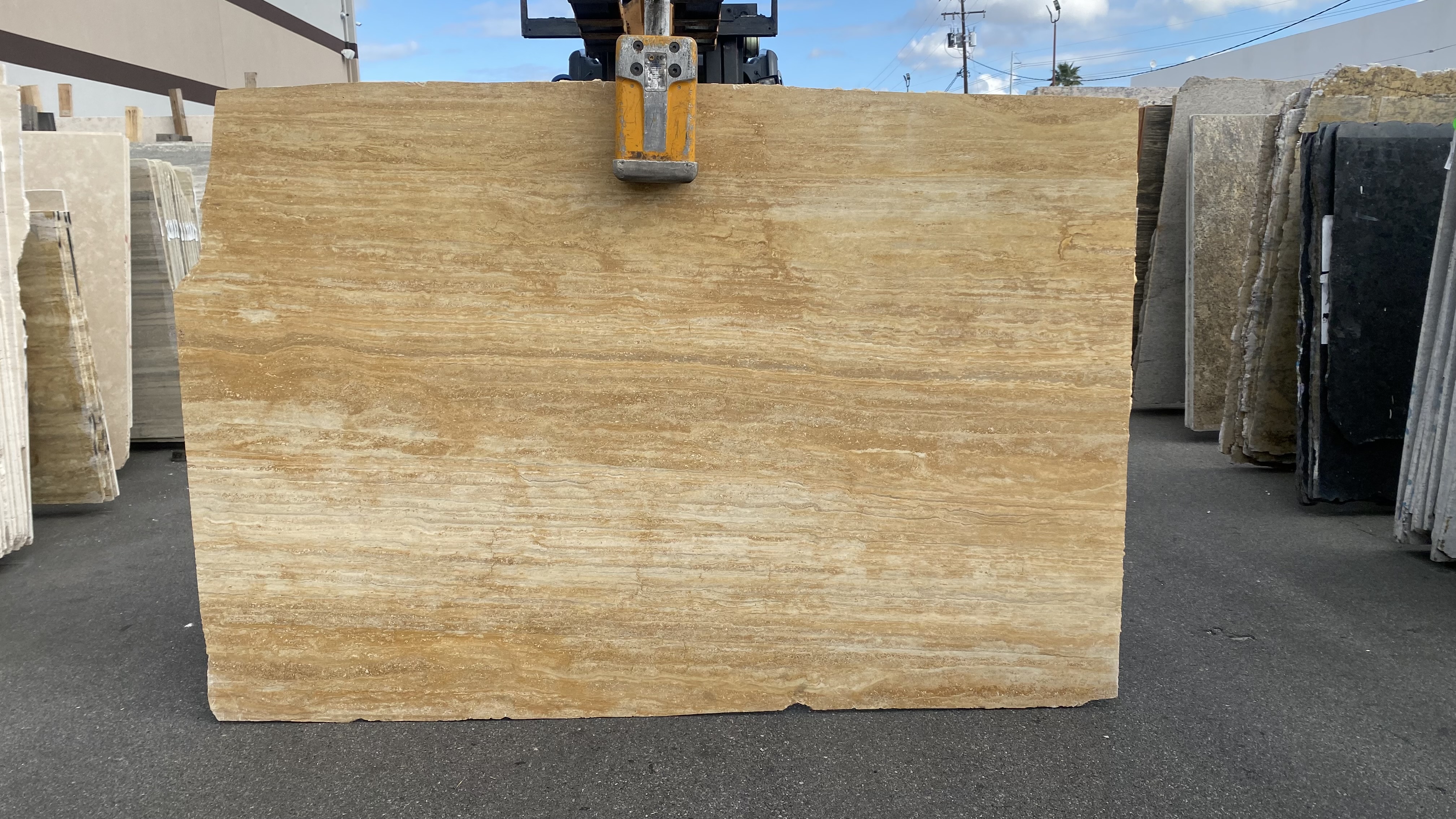 Sienna Gold - VCF M1  by PACIFICA