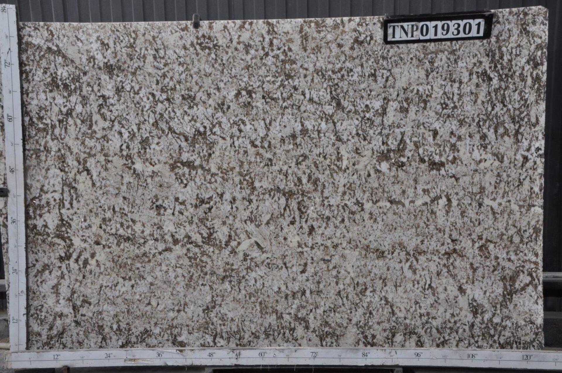 Bianco Antico