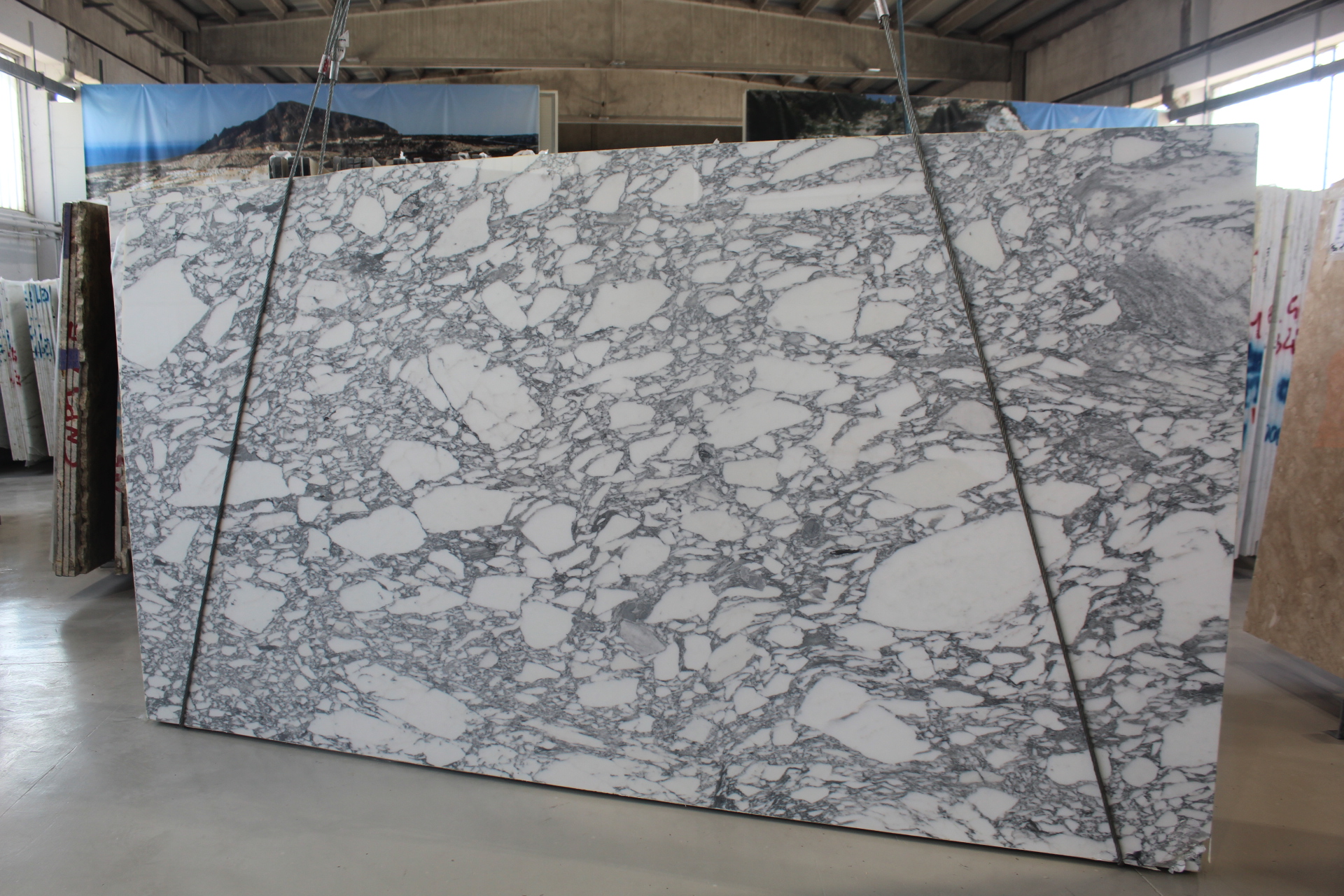 Arabescato Corchia Polished 2cm Marble by PACIFICA