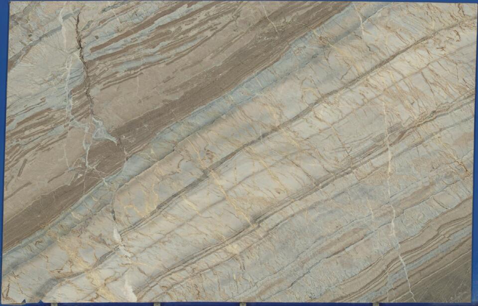 Corteccia