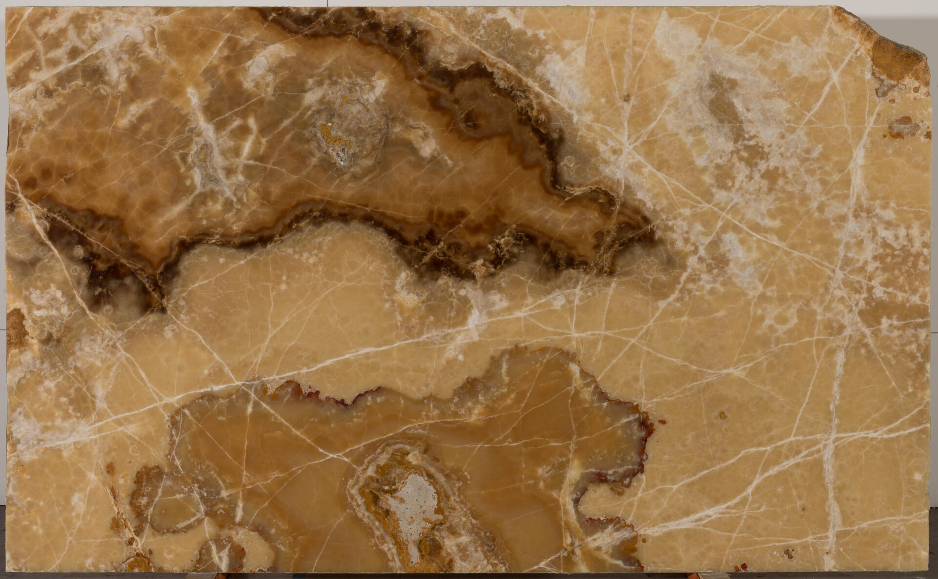 Onyx Wonder