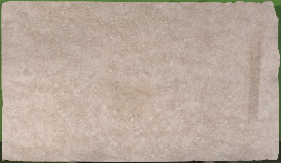 Ocean Reef White