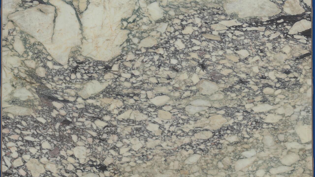 Calacatta Viola