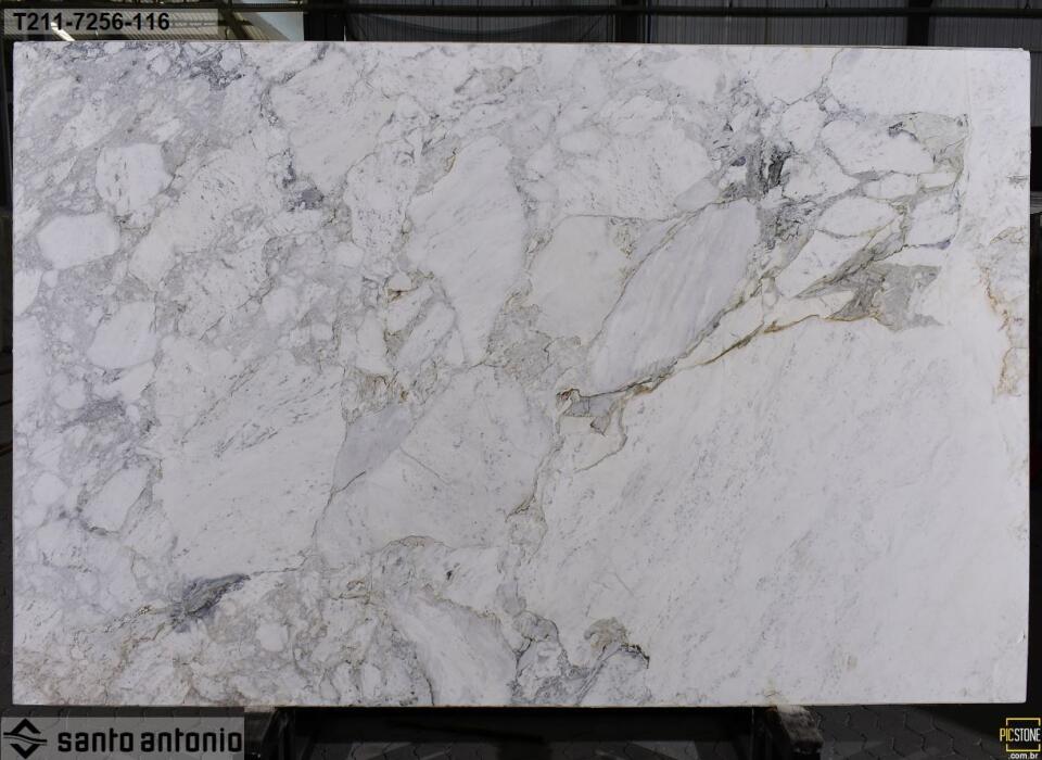 Calacatta Michelangelo