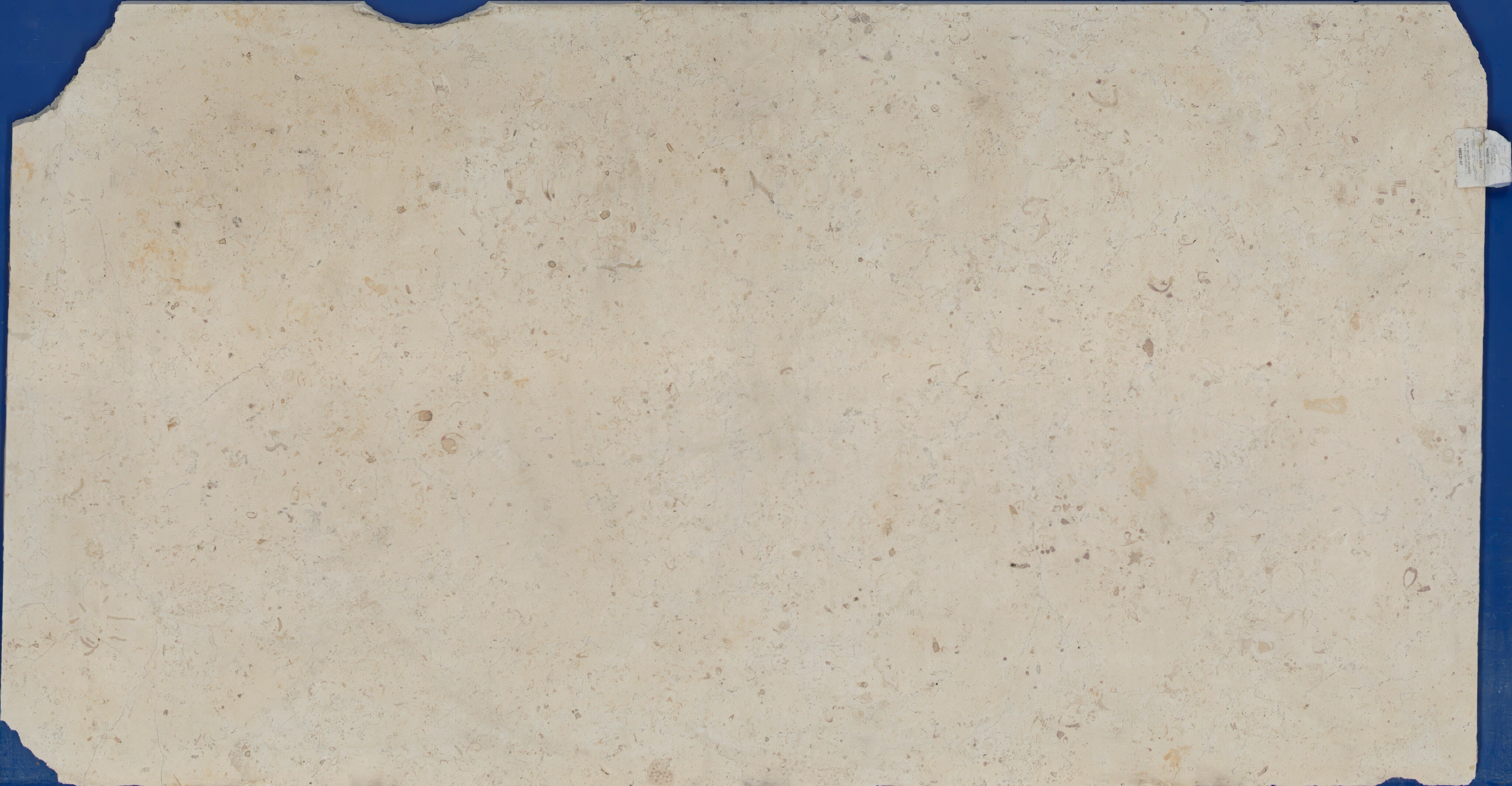Nero Marquina