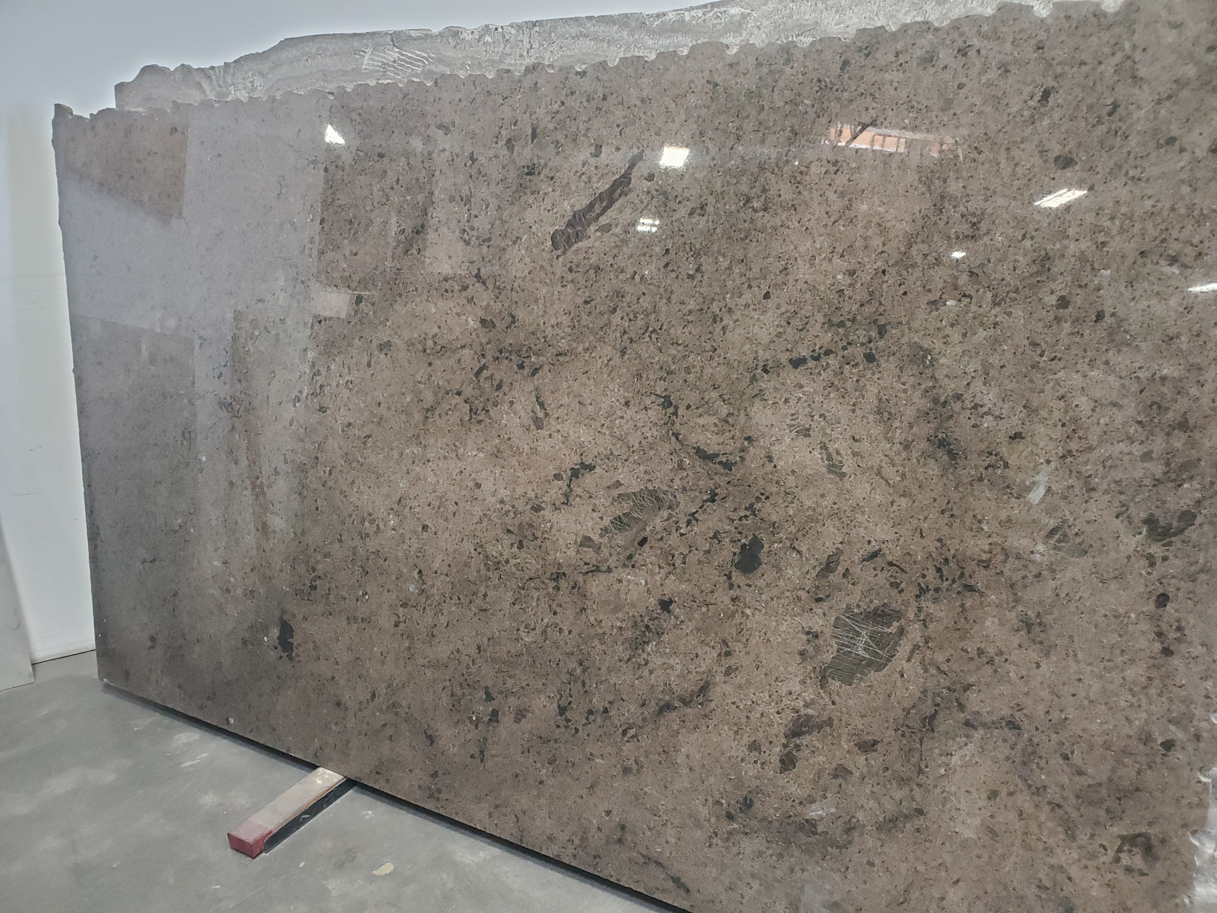 Labrador Antique 2cm Granite by PACIFICA