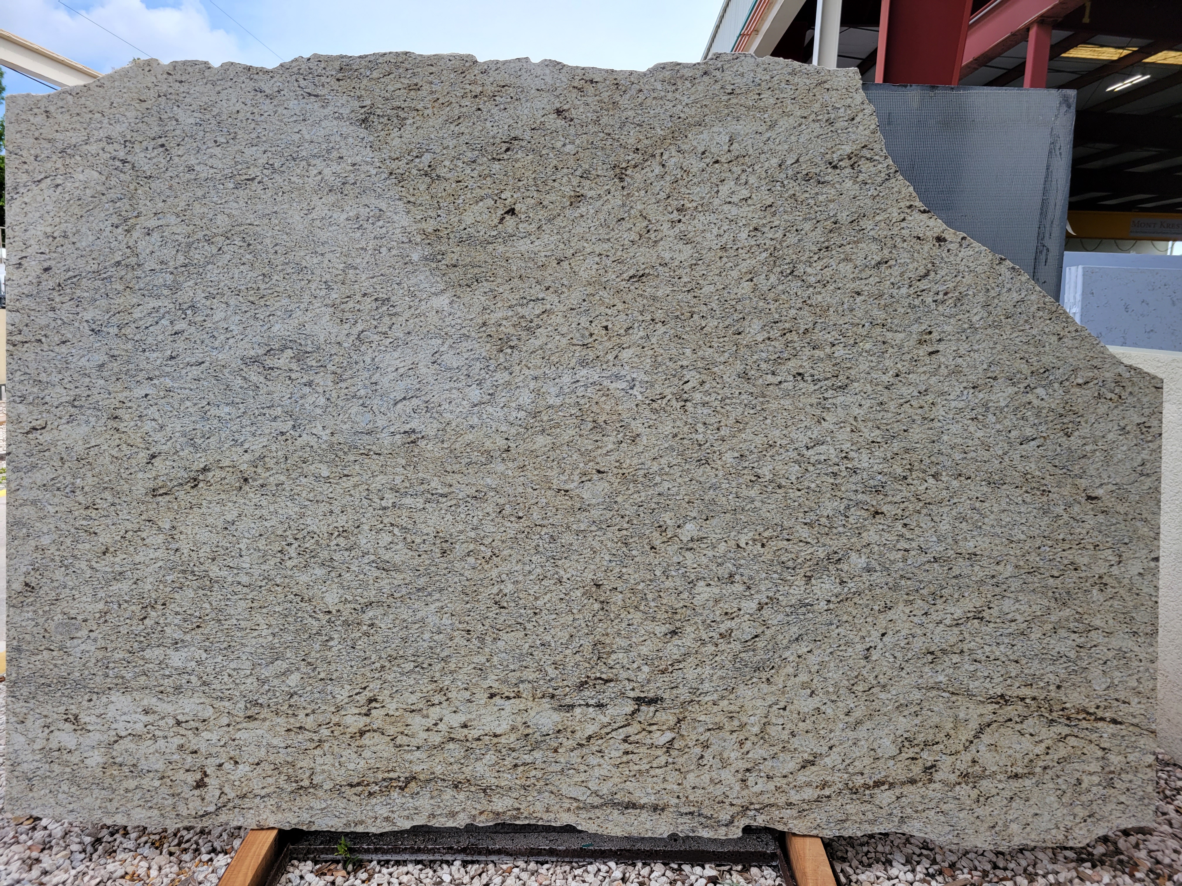 Giallo Ornamental 3cm Granite by PACIFICA