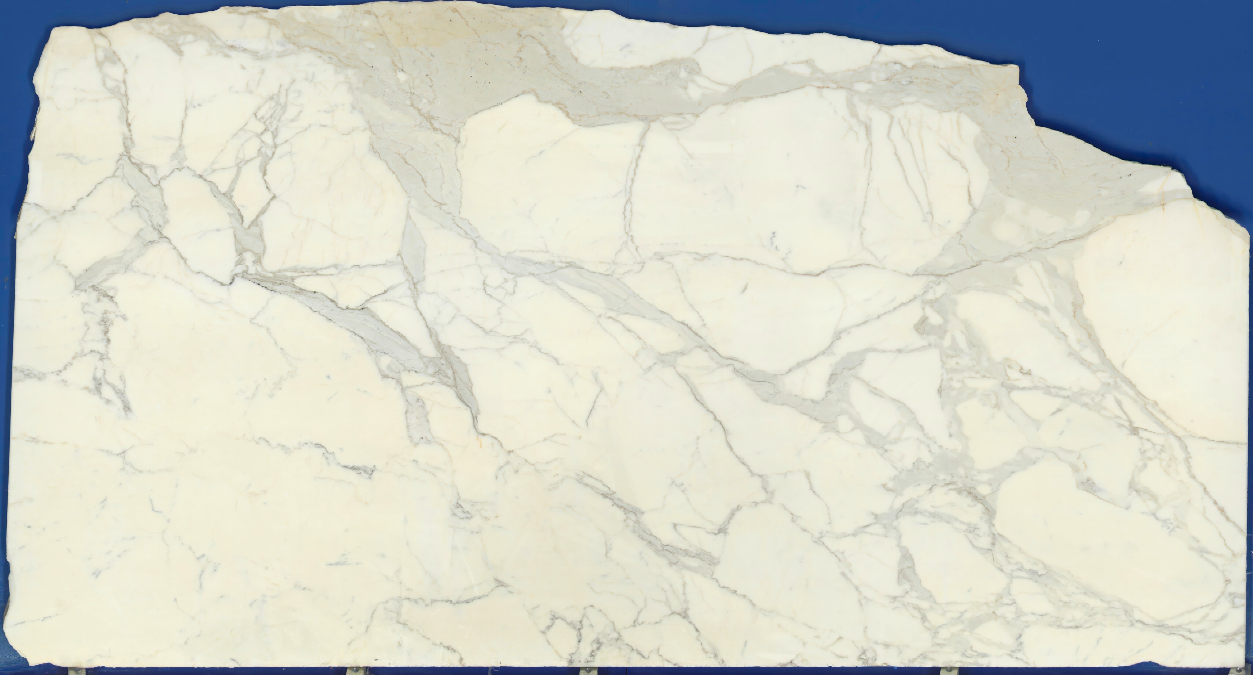 Calacatta Borghini