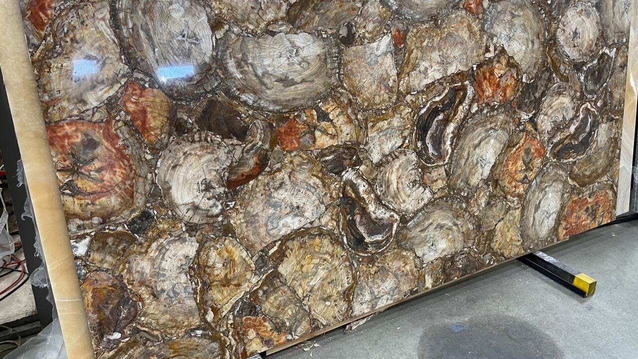 Retro Brown Petrified Wood Lux