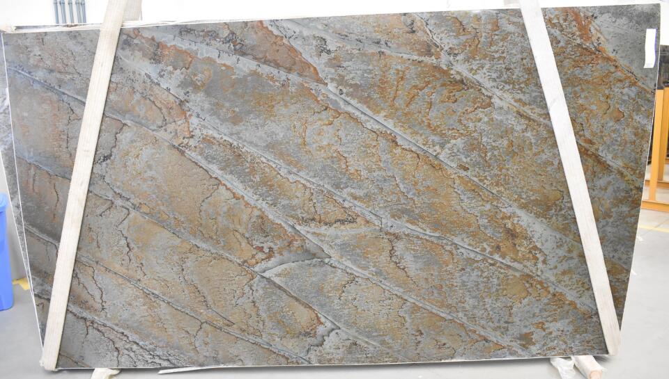 Brazilian Fossil