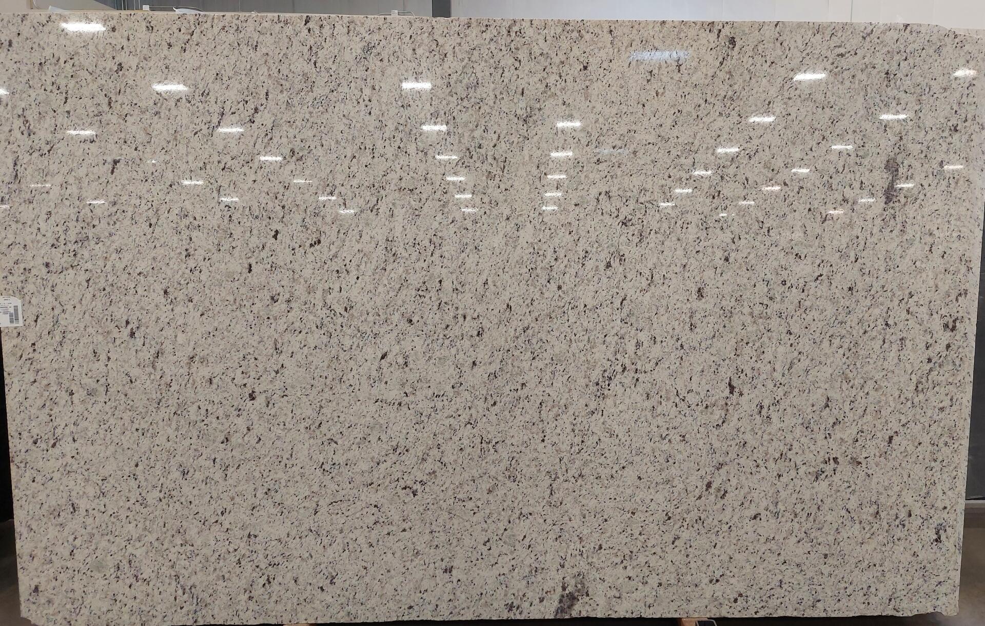 Verona White
