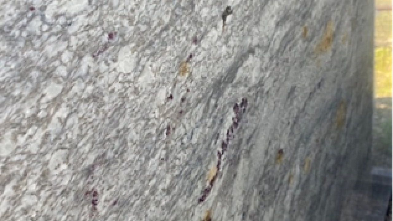 Glacier White 1st Choice 3cm