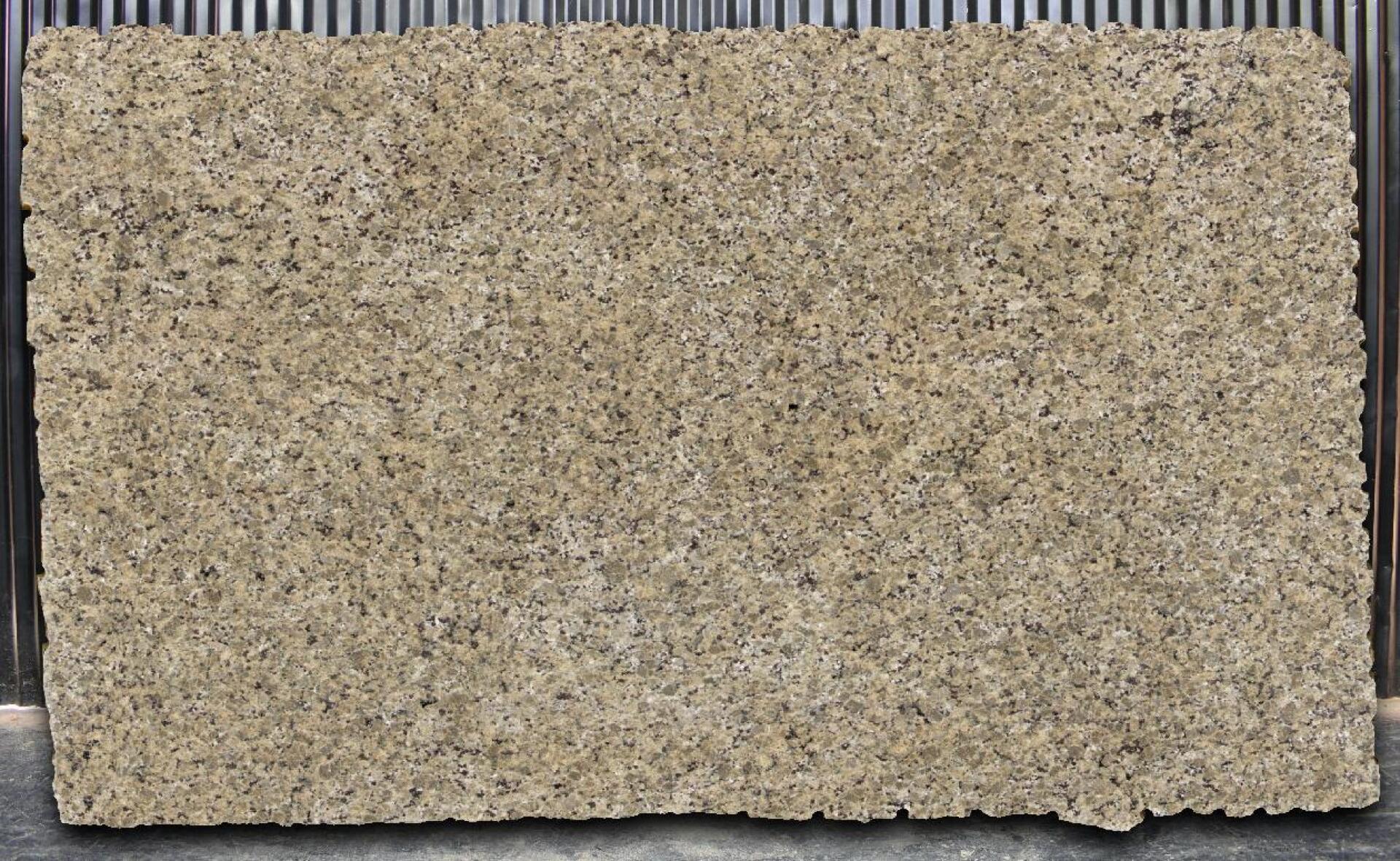 Butterfly Beige