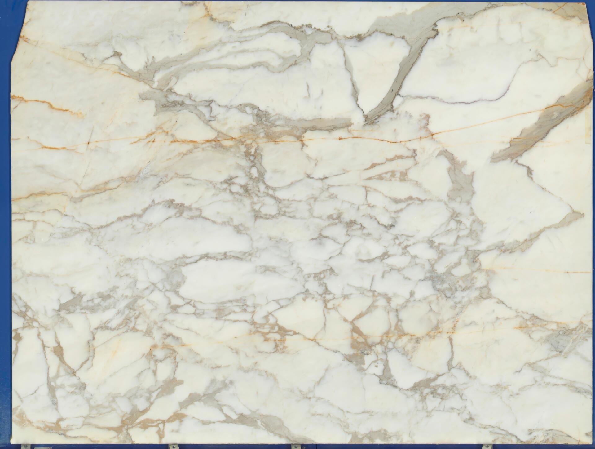 Calacatta Carrara