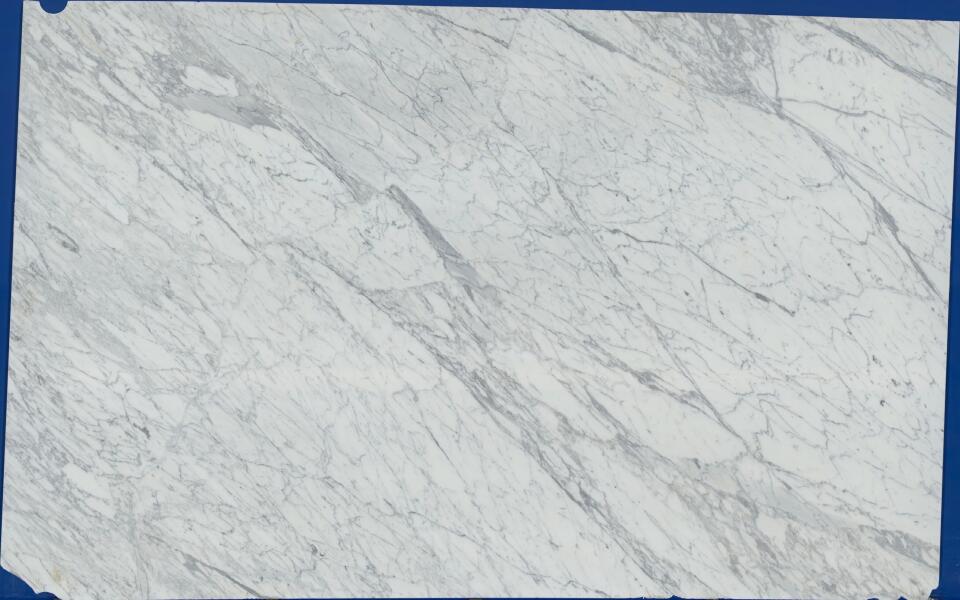 Calacatta Classico