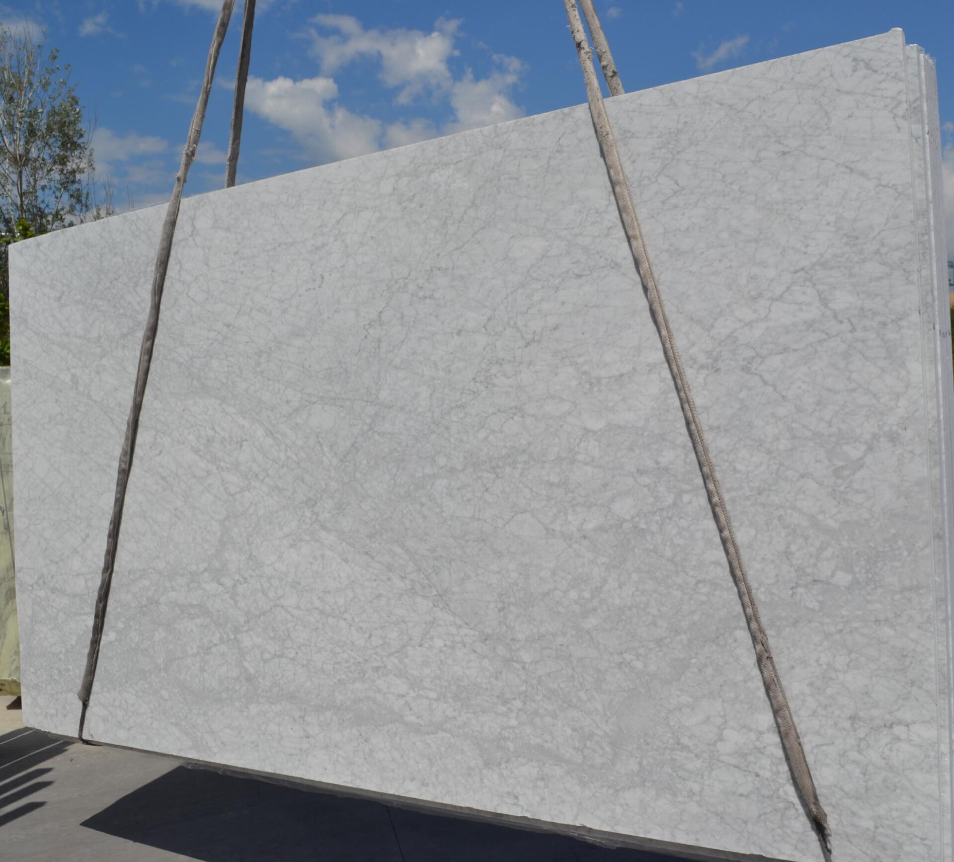 Bianco Carrara Preferred