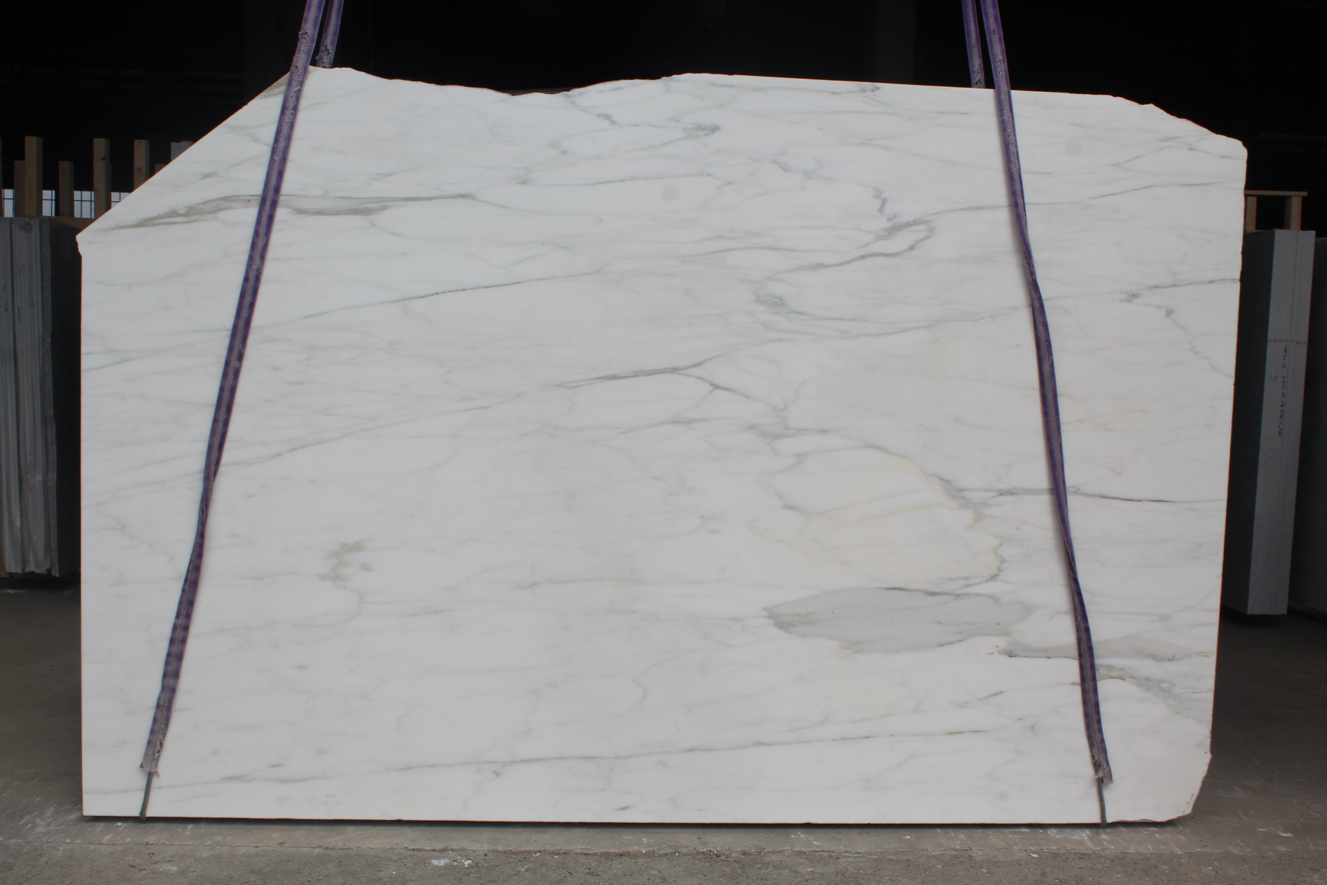 Calacatta Gold 